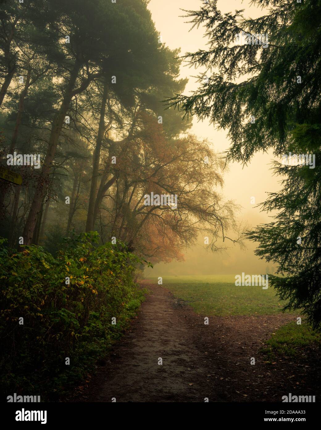 Nebbia e sentiero autunnale, Harrogate, North Yorkshire Foto Stock