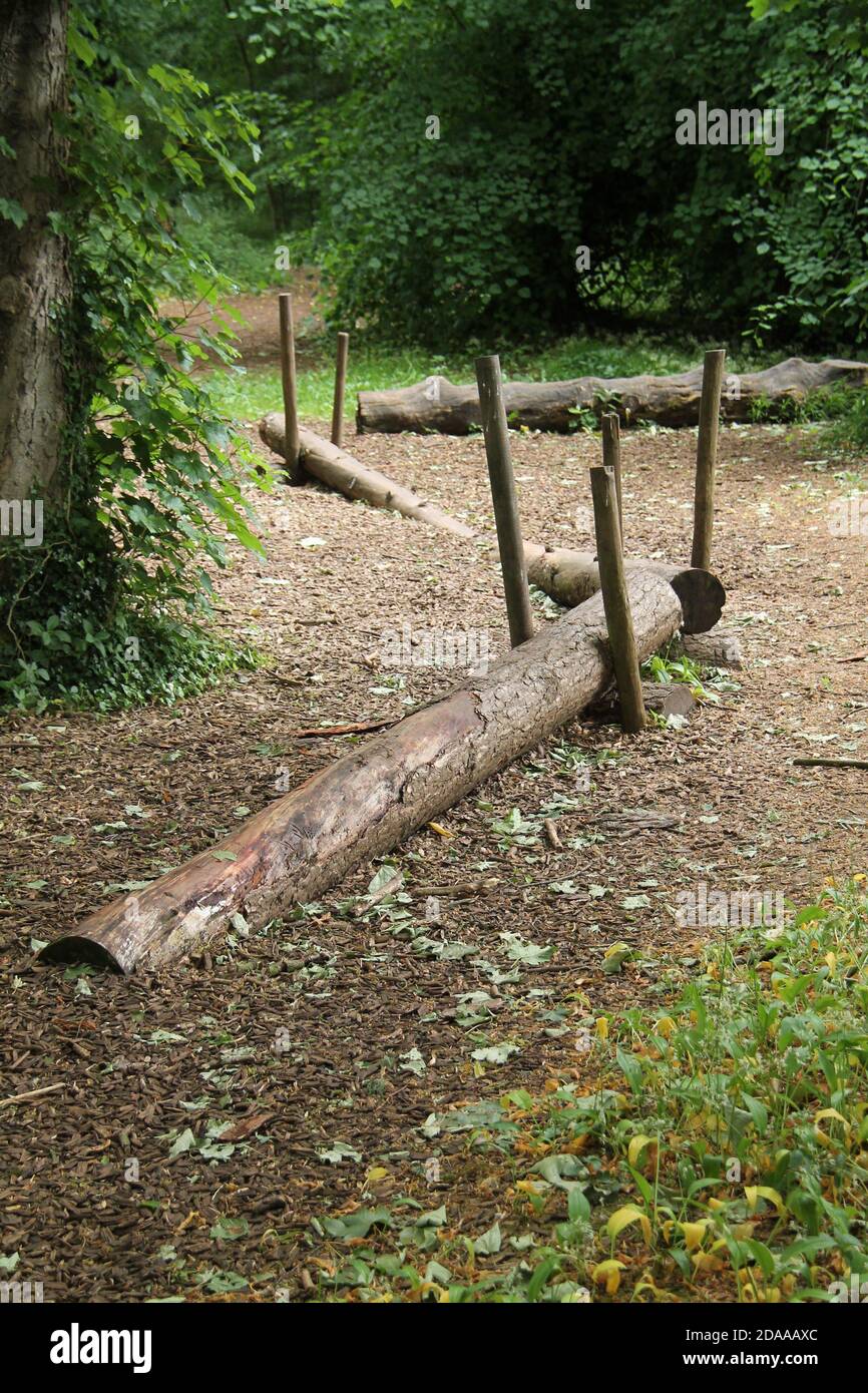Un insieme di tronchi di equilibrio di legno in un'area di gioco di Woodland. Foto Stock