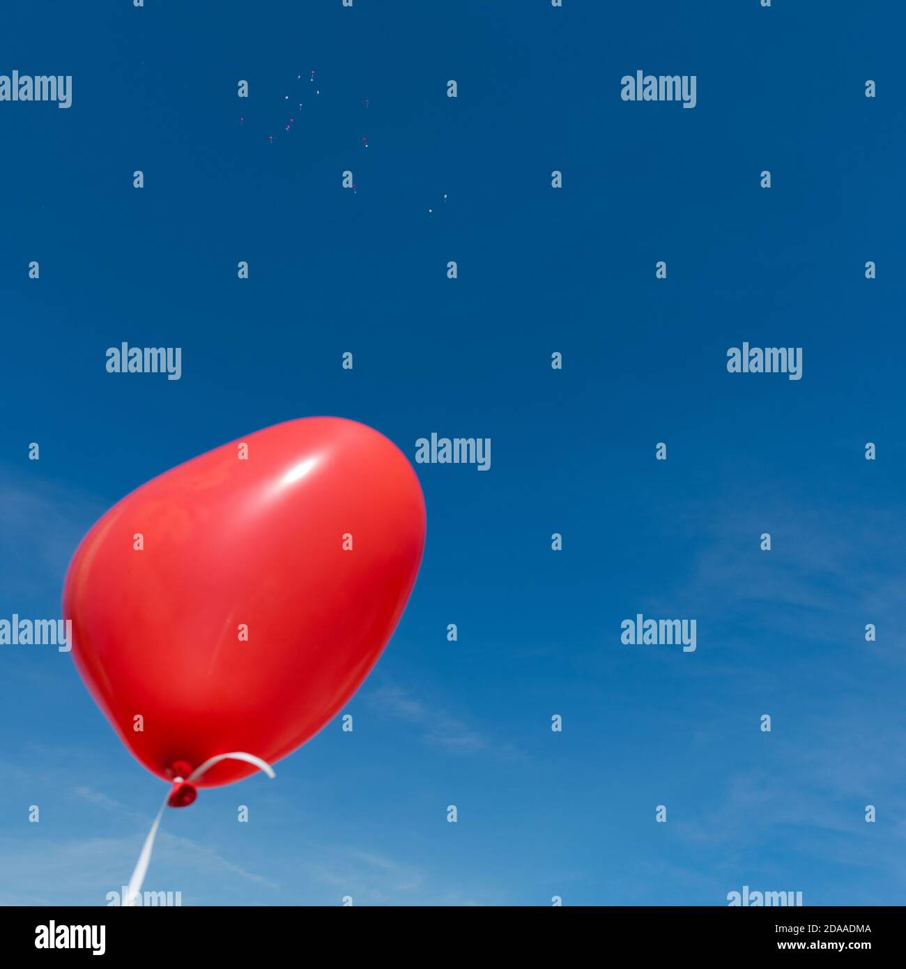 Palloncini colorati a forma di cuori con biglietti d'auguri attaccati corde  che salgono nel cielo blu durante il giorno del matrimonio Foto stock -  Alamy