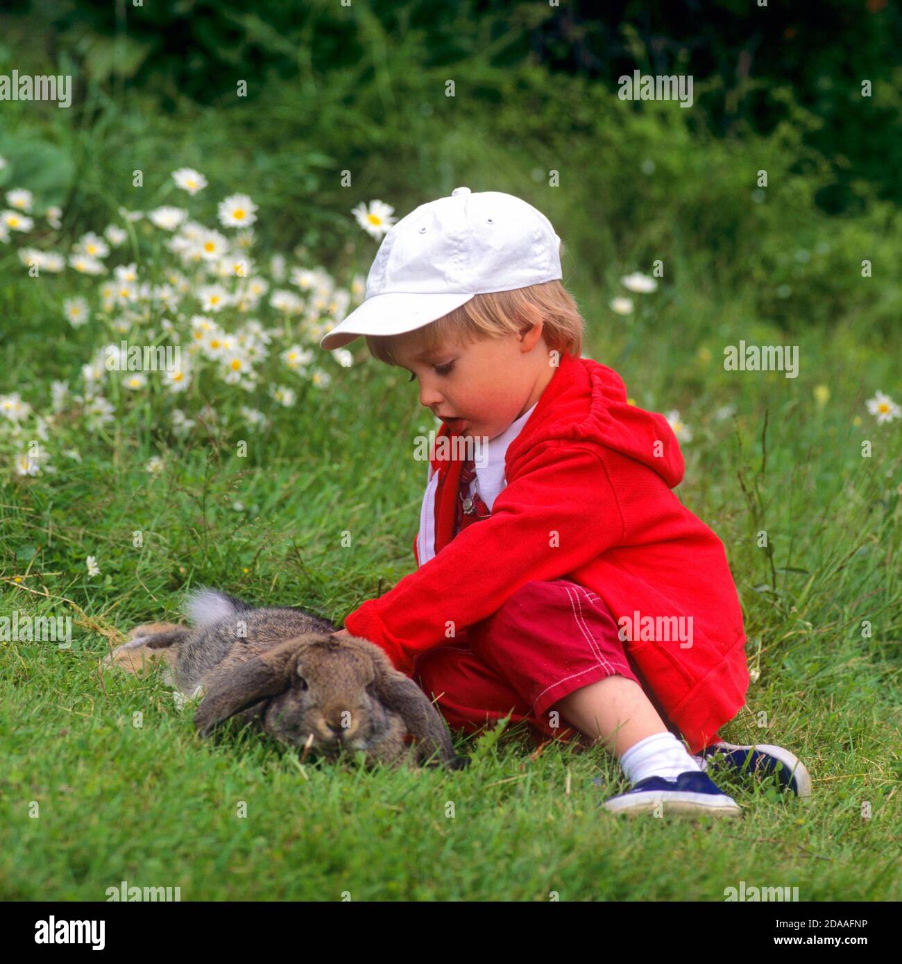 Ragazzo con un coniglio di montone nano Foto Stock