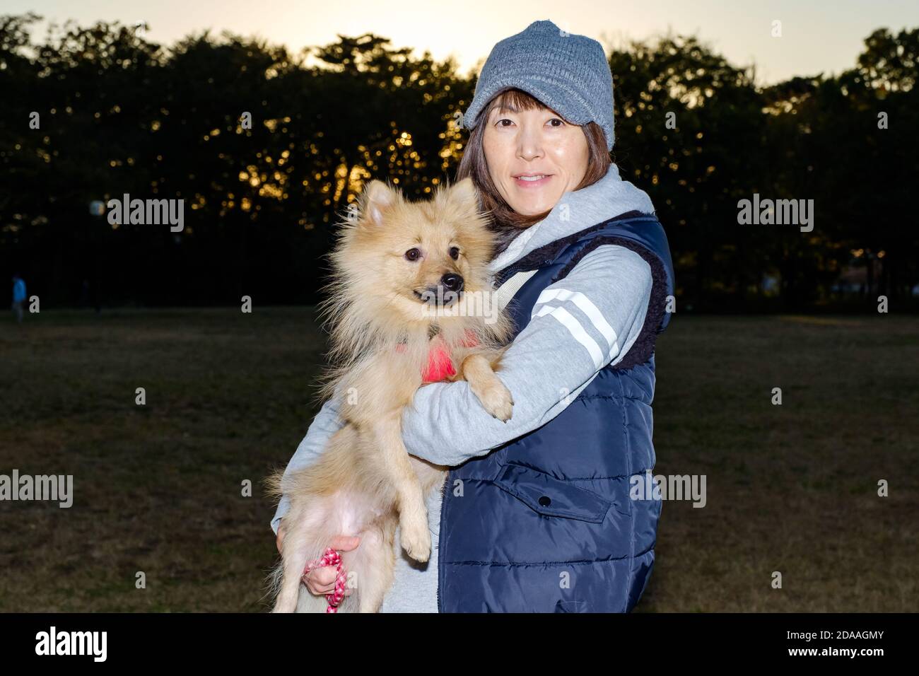 Una ragazza nel parco con il suo cane Foto Stock