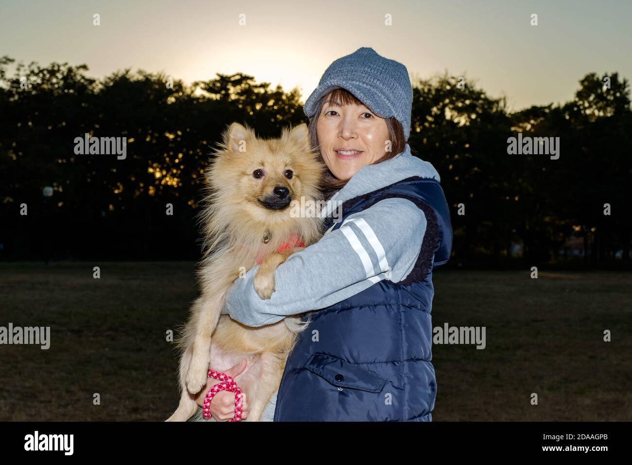 Una ragazza nel parco con il suo cane Foto Stock