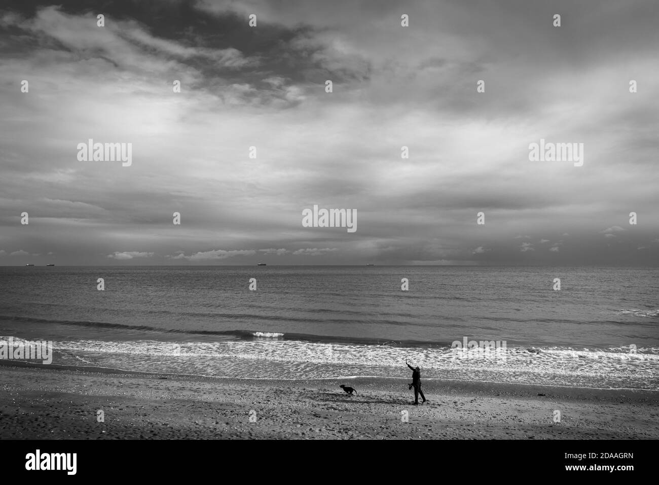 Uomo che esercita il suo cane sulla spiaggia di Sandown, Isola di Wight Foto Stock