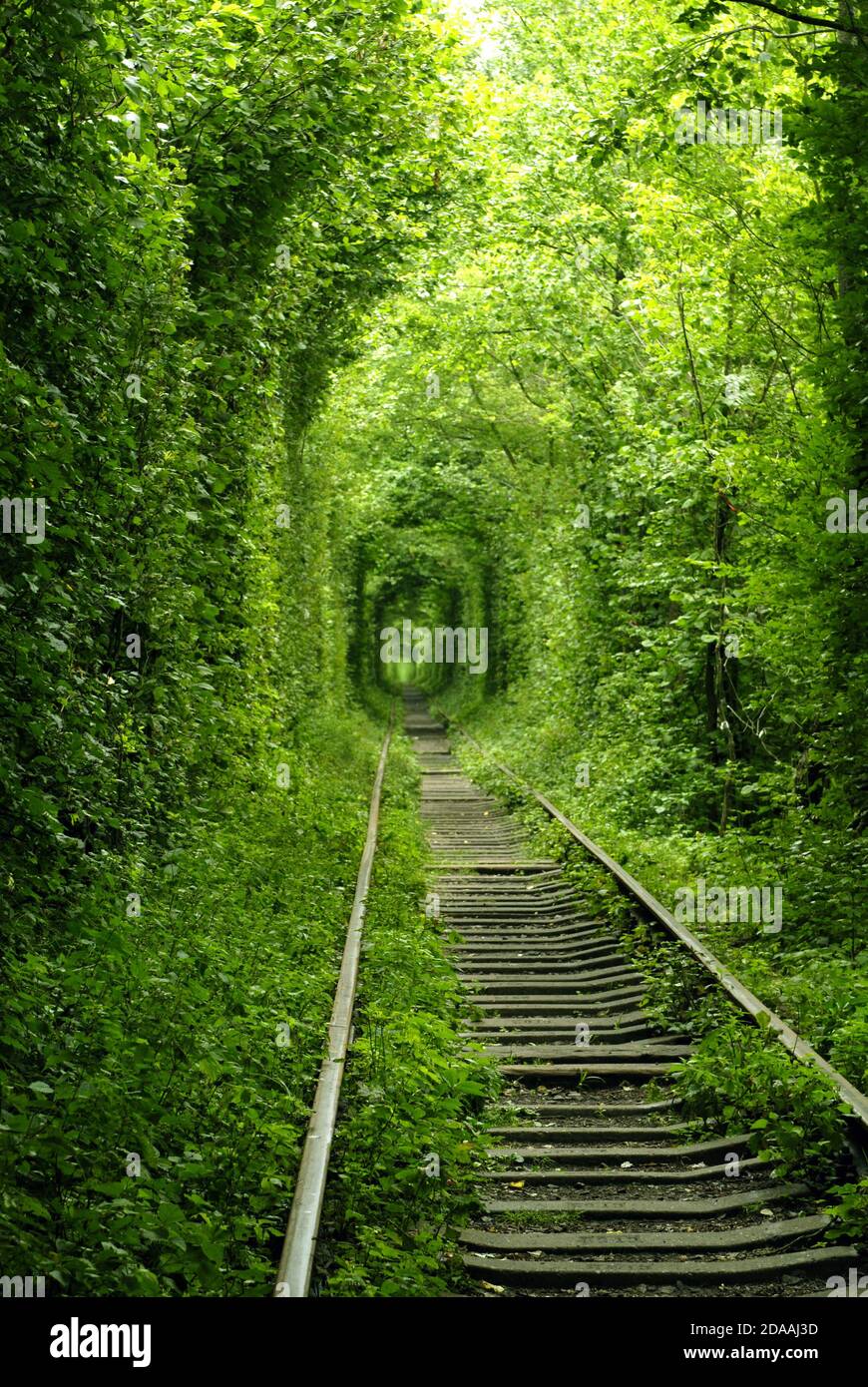 Fantastico tunnel d'amore con alberi verdi e la ferrovia. Città di Klevan. Ucraina Foto Stock