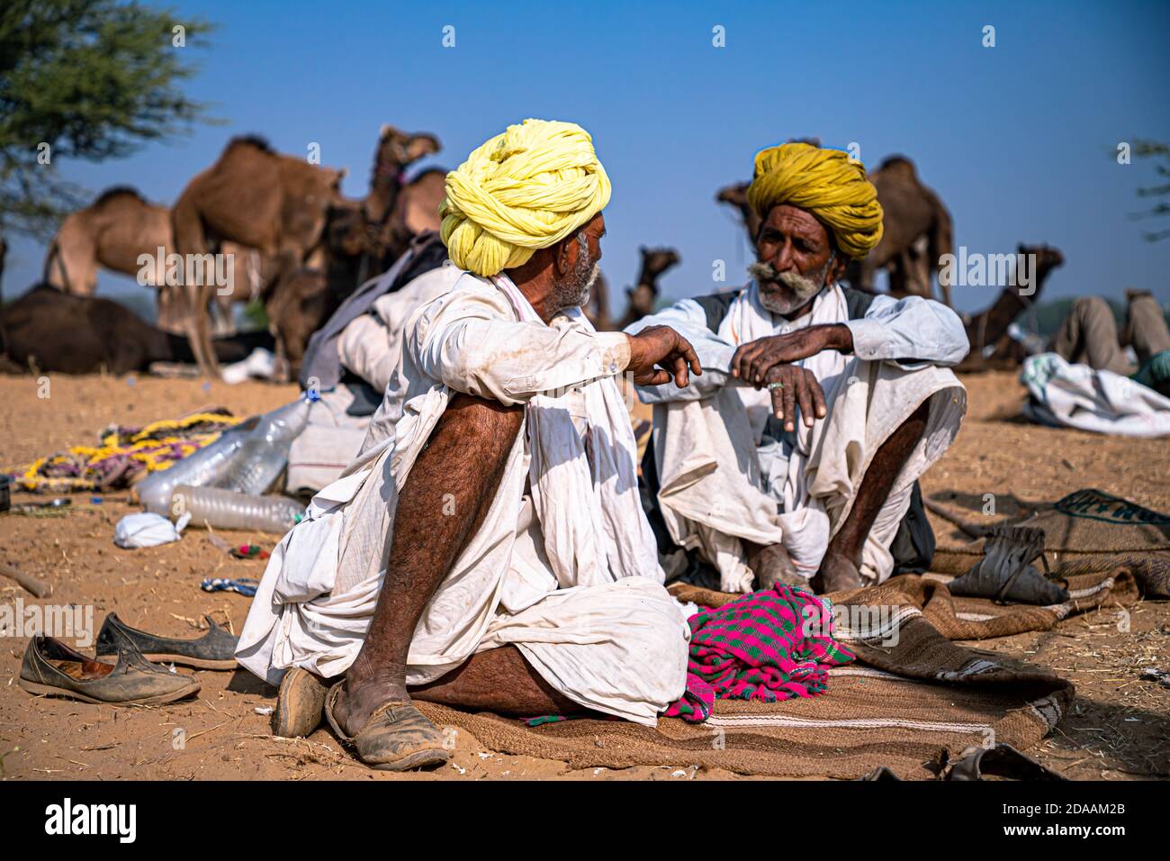 ritratto di due uomini in giallo tradizionale turbante sono discutere e parlare al pushkar cammello festival. Foto Stock