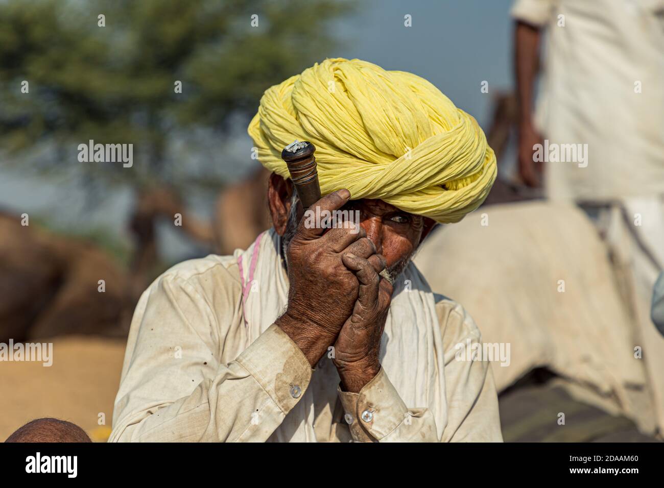 ritratto di un uomo tribaam con turban giallo fumo chilam al pushkar cammello festival. Foto Stock