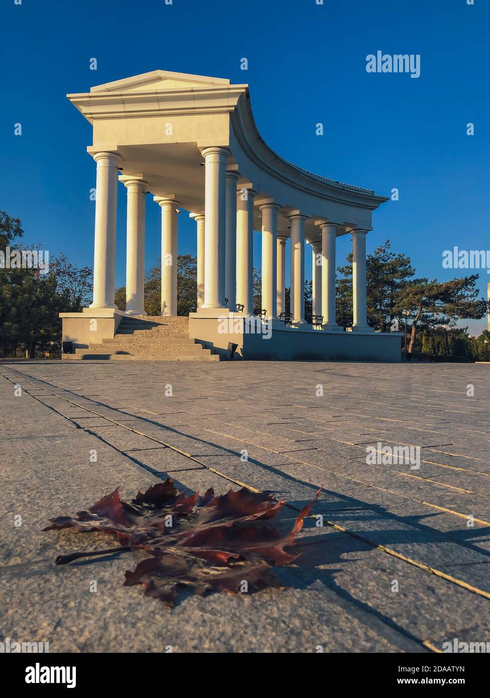 Chernomorsk, Ucraina 2020. Colonnato nella città di Chernomorsk in una soleggiata mattina autunnale con foglia d'acero . Foto Stock