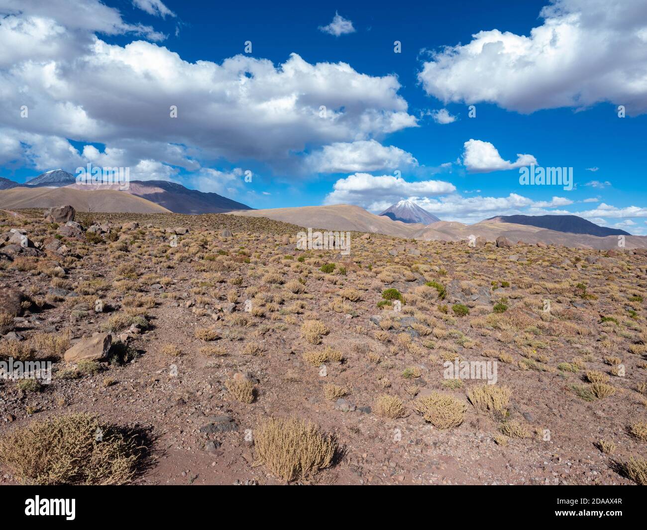 Il deserto di Atacama è una regione iper-arida situata in Cile, in Sud America. Atacama è conosciuta per essere una delle regioni più aride della Terra. Foto Stock