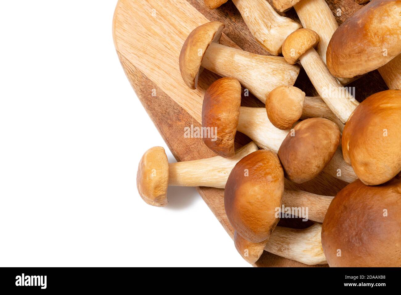 Testa marrone Boletus Edulis su un tagliere su sfondo bianco. Funghi commestibili su una tavola di legno in cucina. Nessuno Foto Stock