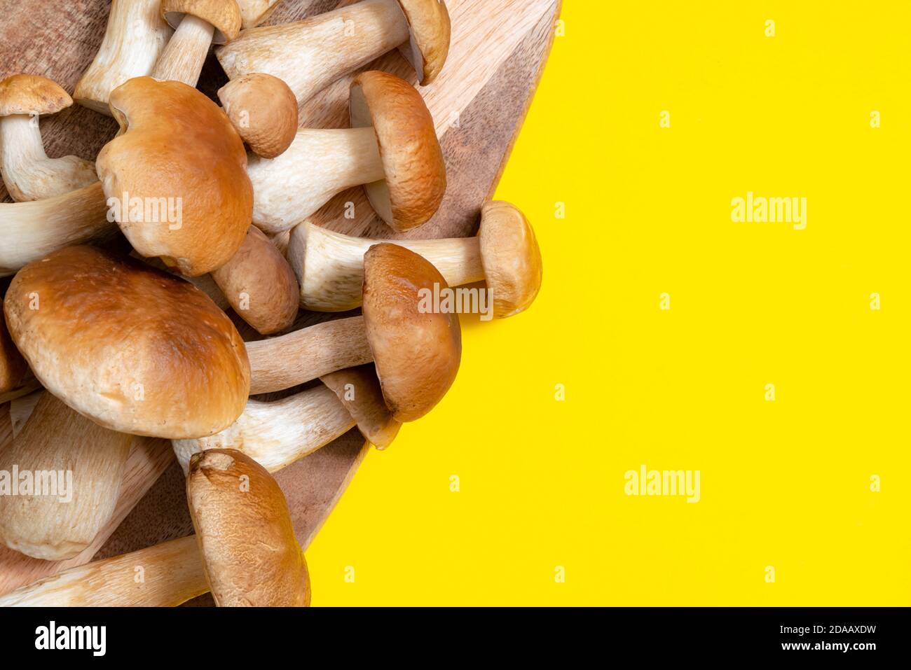 Tappo marrone Boletus Edulis su un tagliere su sfondo giallo. Funghi commestibili su una tavola di legno in cucina. Nessuno Foto Stock