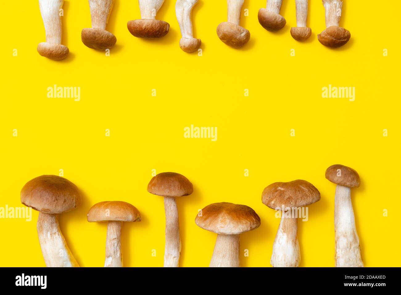 Tappo marrone Boletus Edulis isolato su sfondo giallo. Piatto di funghi commestibili in cucina con spazio per la copia del testo. Nessuno Foto Stock