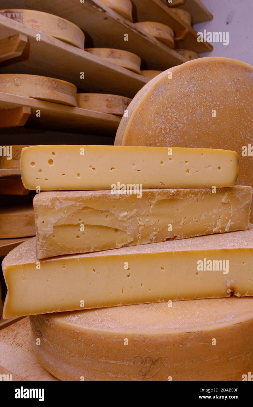 Tipico formaggio di montagna italiano della Valtellina Regione Lombardia chiamata Bitto Foto Stock