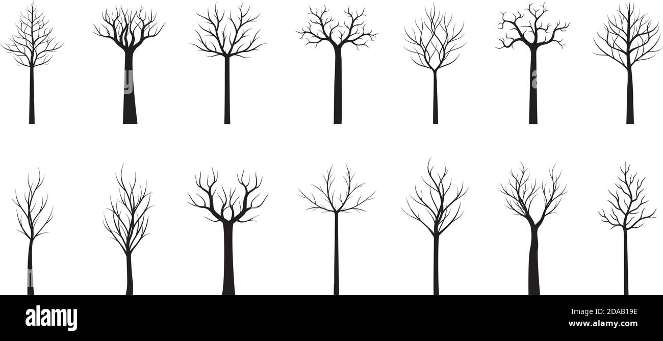 Alberi neri con radici e foglie. Illustrazione vettoriale. Raccolta di icone. Illustrazione Vettoriale