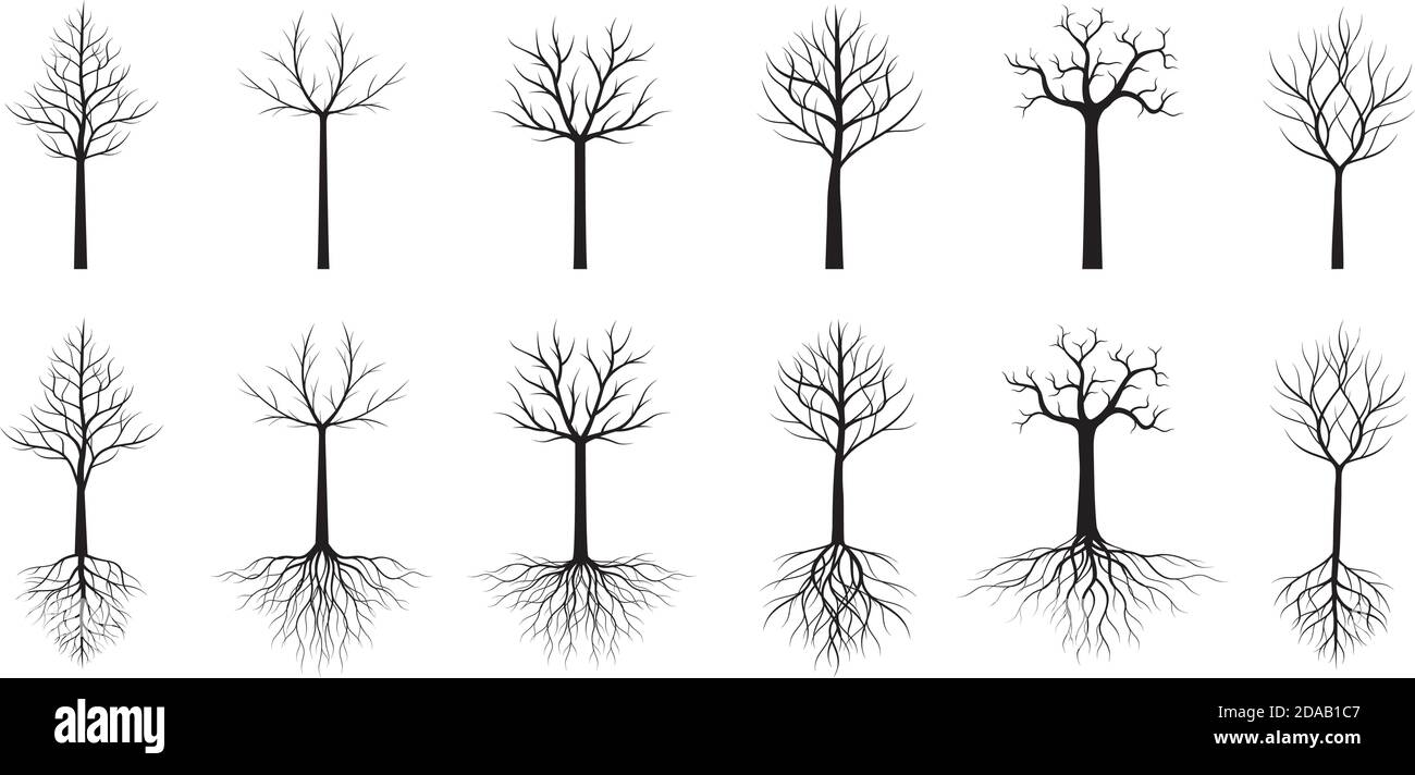 Alberi neri con radici e foglie. Illustrazione vettoriale. Raccolta di icone. Illustrazione Vettoriale