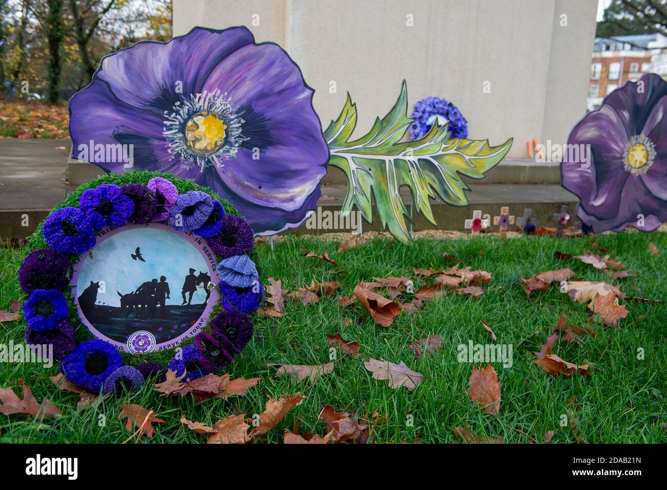 Ascot, Berkshire, Regno Unito. 10 novembre 2020. Un prato di papaveri viola dipinti dall'artista Jenna Fox sono stati lasciati dalla scupture bronzea del memoriale del Cavallo di Guerra in Ascot per celebrare la Domenica della memoria e il giorno dell'Armistizio 2020. Milioni di cavalli, muli e asini sono morti durante la Grande Guerra. Il cavallo di bronzo scupture di Susan Leyland chiamato Poppy, ha una lacerazione dall'occhio del cavallo. Le persone di tutto il paese tacquero per due minuti alle 11.00 dell'11 novembre 2020, mentre versano i loro omaggi ai morti di guerra della prima guerra mondiale, della seconda guerra mondiale e dei conflitti più recenti in tutto il mondo. Credi Foto Stock