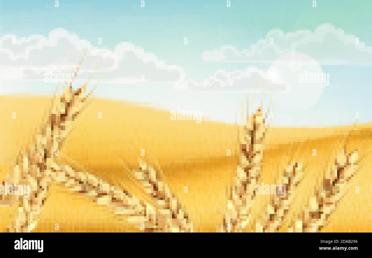 Campo pieno di grani di grano. Cielo blu nuvoloso. Posizionamento realistico del prodotto mockup 3D. Vettore Illustrazione Vettoriale