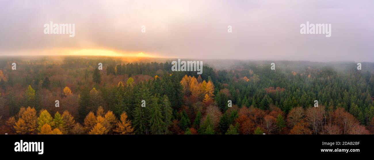 Nebbia su una foresta di colori autunnali nella stagione autunnale, una vista panoramica mistica al tramonto girato da un drone. Foto Stock