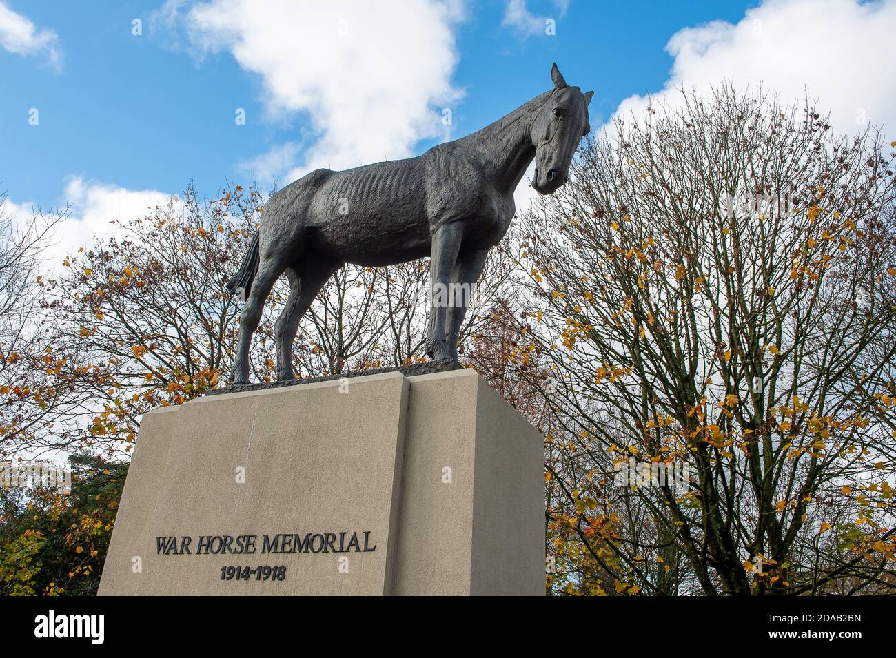 Ascot, Berkshire, Regno Unito. 10 novembre 2020. Un prato di papaveri viola dipinti dall'artista Jenna Fox sono stati lasciati dalla scupture bronzea del memoriale del Cavallo di Guerra in Ascot per celebrare la Domenica della memoria e il giorno dell'Armistizio 2020. Milioni di cavalli, muli e asini sono morti durante la Grande Guerra. Il cavallo di bronzo scupture di Susan Leyland chiamato Poppy, ha una lacerazione dall'occhio del cavallo. Le persone di tutto il paese tacquero per due minuti alle 11.00 dell'11 novembre 2020, mentre versano i loro omaggi ai morti di guerra della prima guerra mondiale, della seconda guerra mondiale e dei conflitti più recenti in tutto il mondo. Credi Foto Stock