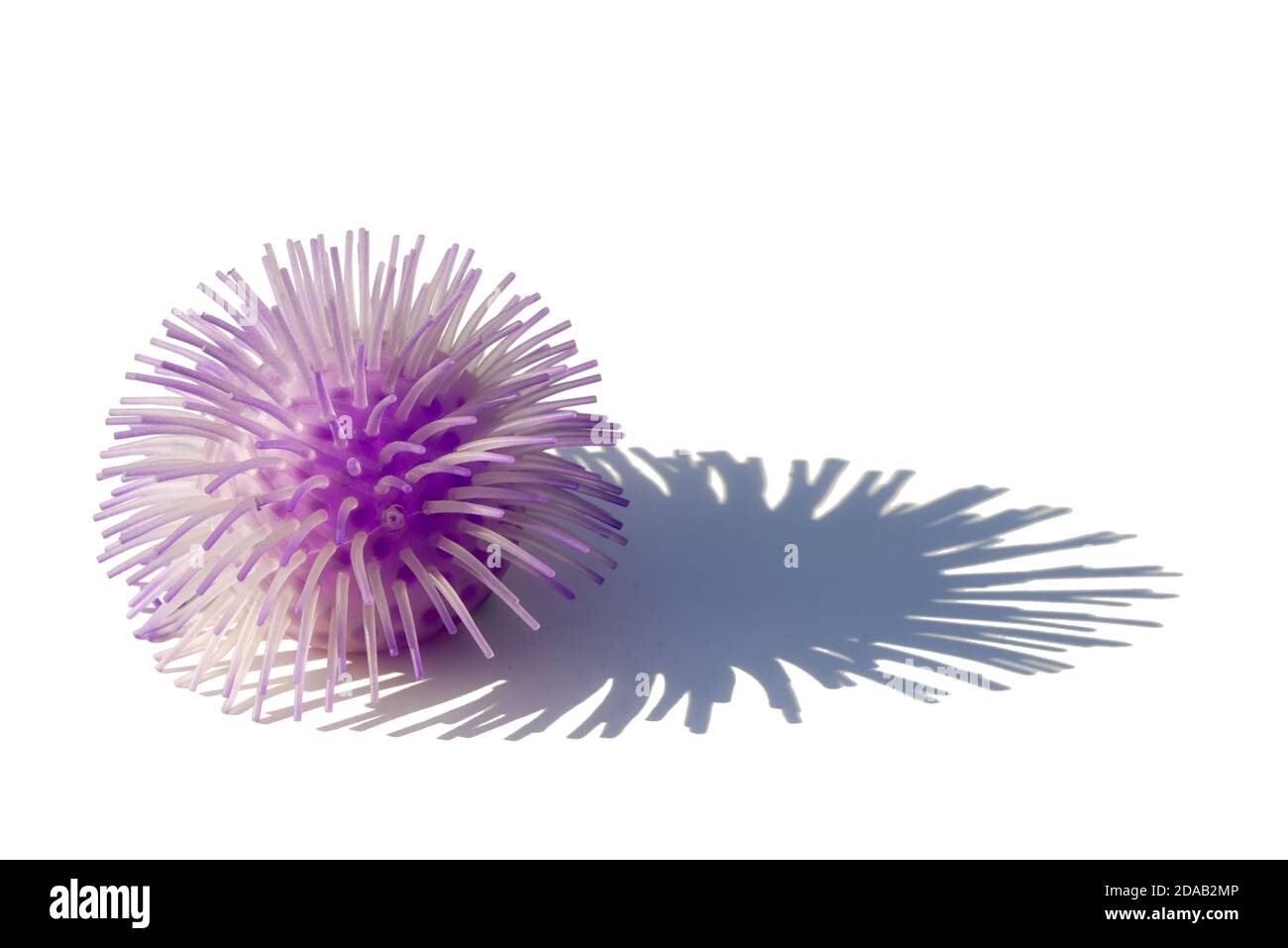 La palla giocattolo assomiglia a coronavirus isolato su sfondo bianco con lunga ombra e spazio di copia. Foto Stock