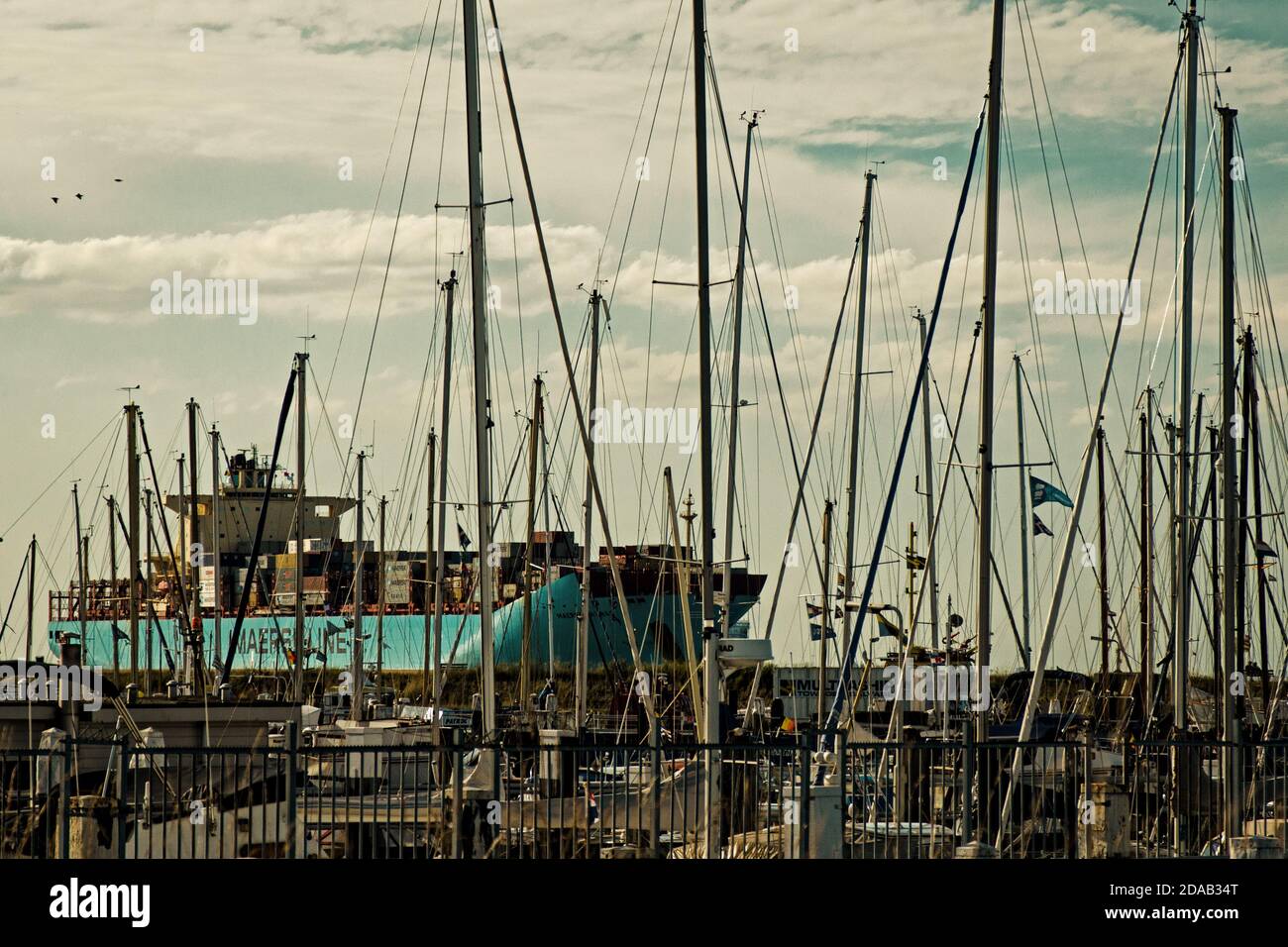 Barche e yacht nel porto di Terneuzen (Olanda) Foto Stock