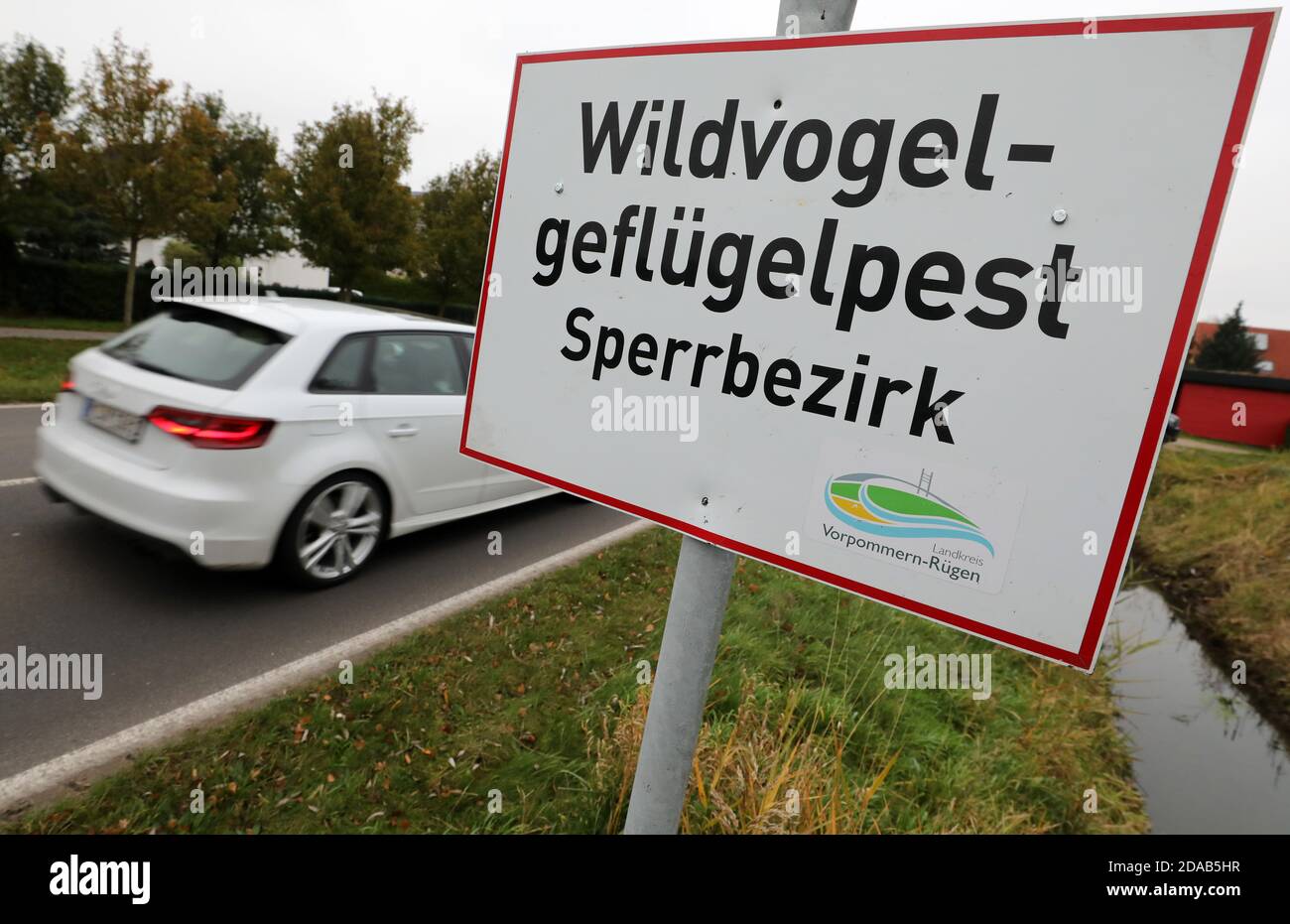 Zingst, Germania. 11 Nov 2020. "Area soggetta a restrizioni per la peste degli uccelli selvatici" è riportata su un cartello all'ingresso del villaggio. Secondo il registro dell'influenza aviaria in una popolazione di pollame domestico, tutti e 92 gli animali sono stati uccisi, secondo il distretto della Pomerania occidentale-Rügen. Questo è il primo focolaio di influenza aviaria nel pollame domestico nel Meclemburgo-Pomerania occidentale quest'anno. Credit: Bernd Wüstneck/dpa-Zentralbild/dpa/Alamy Live News Foto Stock