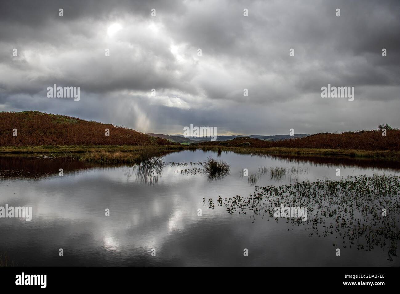 Tempesta con riflessi nuvolosi a Lily Tarn, Loughrigg cadde vicino Amblesdie nel Distretto dei Laghi Inglesi Foto Stock