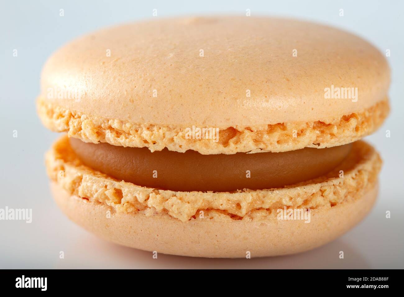 Un macaron con crema su sfondo bianco - primo piano visualizza Foto Stock