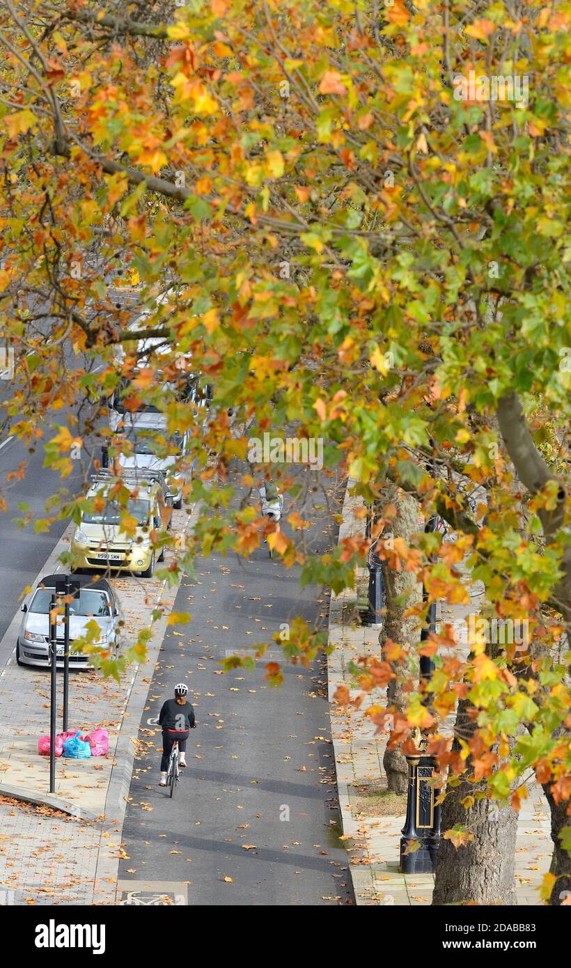 Londra, Inghilterra, Regno Unito. Lone ciclista in una pista ciclabile sul Victoria Embankment durante il secondo blocco della pandemia COVID, novembre 2020 Foto Stock