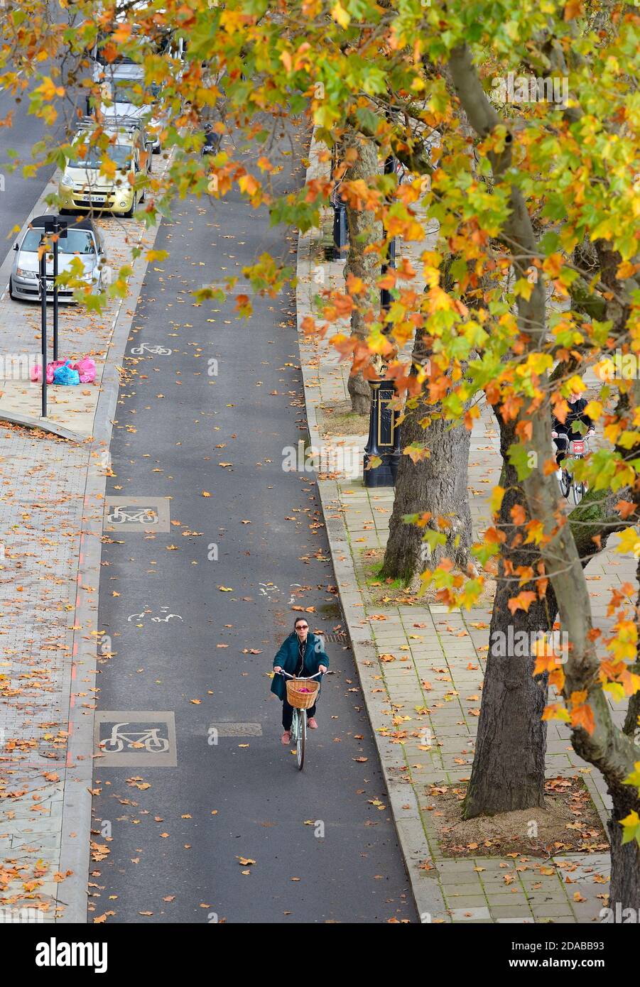 Londra, Inghilterra, Regno Unito. Lone ciclista in una pista ciclabile sul Victoria Embankment durante il secondo blocco della pandemia COVID, novembre 2020 Foto Stock
