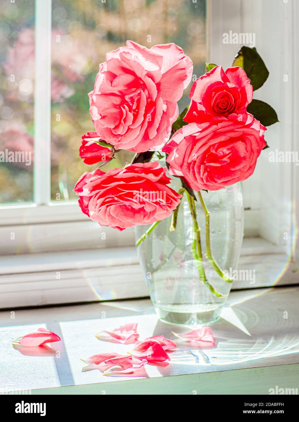 Bouquet di rose in vetrina in autunno. Foto Stock
