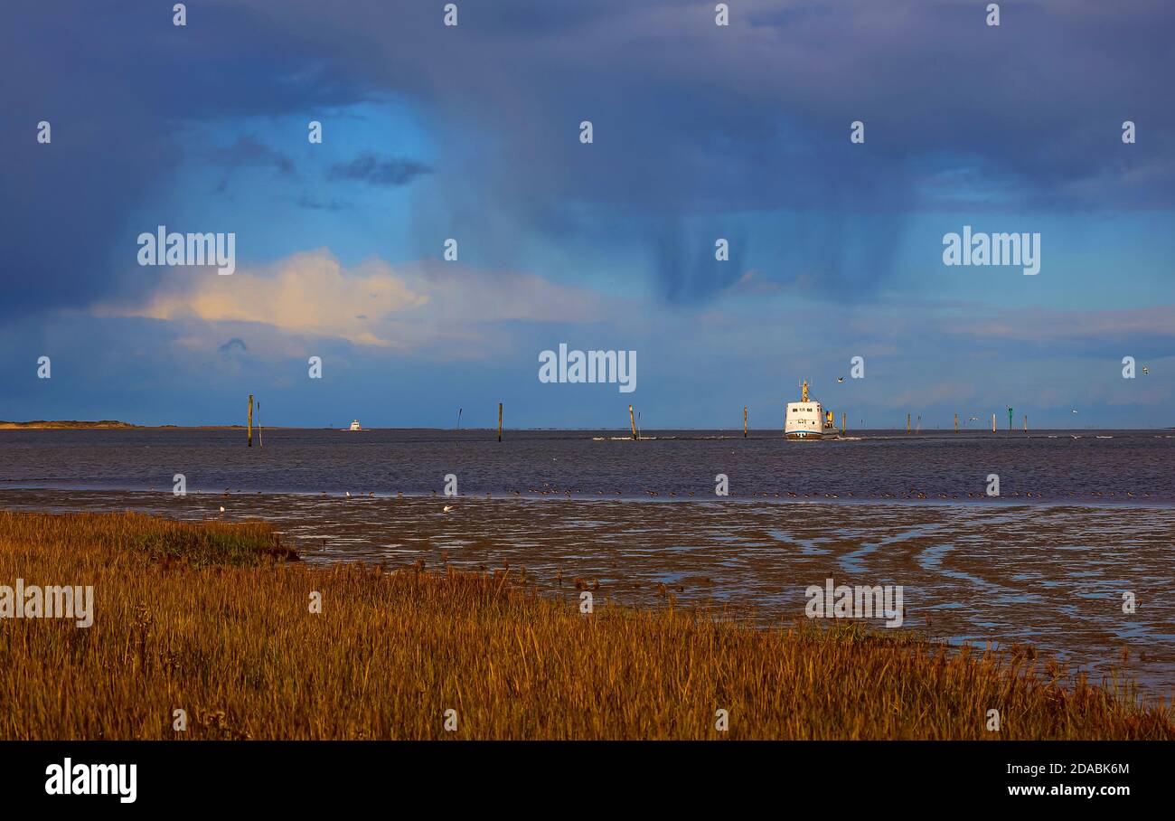 Bassa Sassonia Wadden Sea National Park, Germania, in autunno. Foto Stock