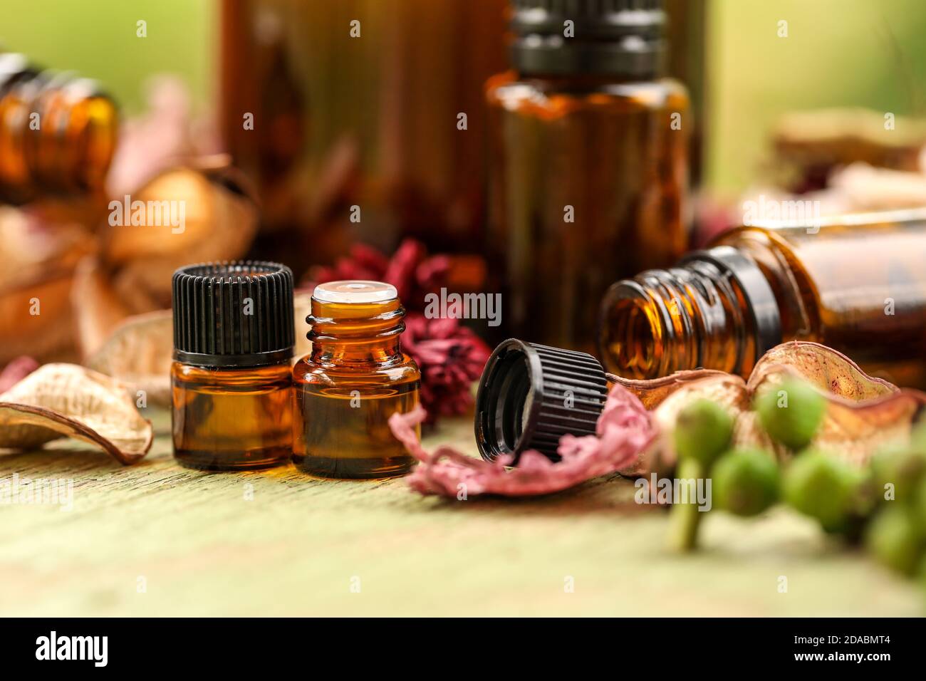 Primo piano di bottiglie d'olio essenziali circondate da fiori secchi Foto Stock