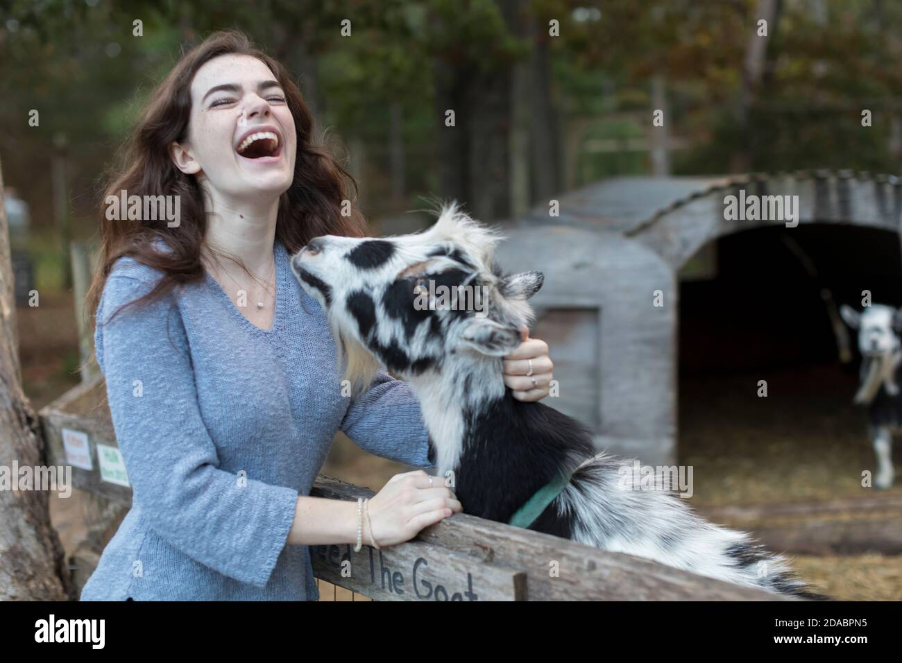Bella ragazza adolescente ridere mentre accarezzare capra in fattoria Foto Stock
