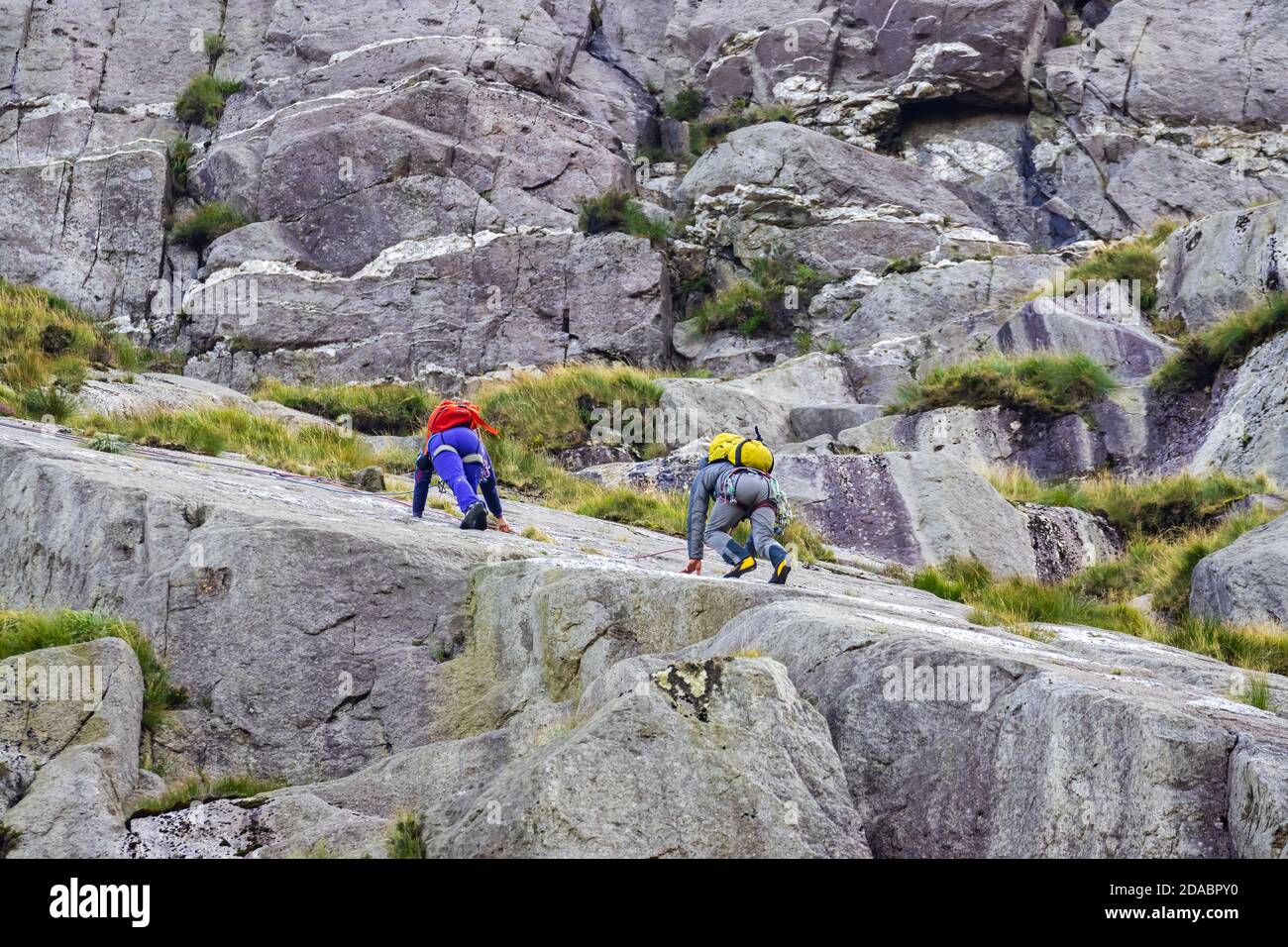 Scalatori di roccia che salgono Glyder Fawr nella Valle di Ogwen Galles del Nord Foto Stock