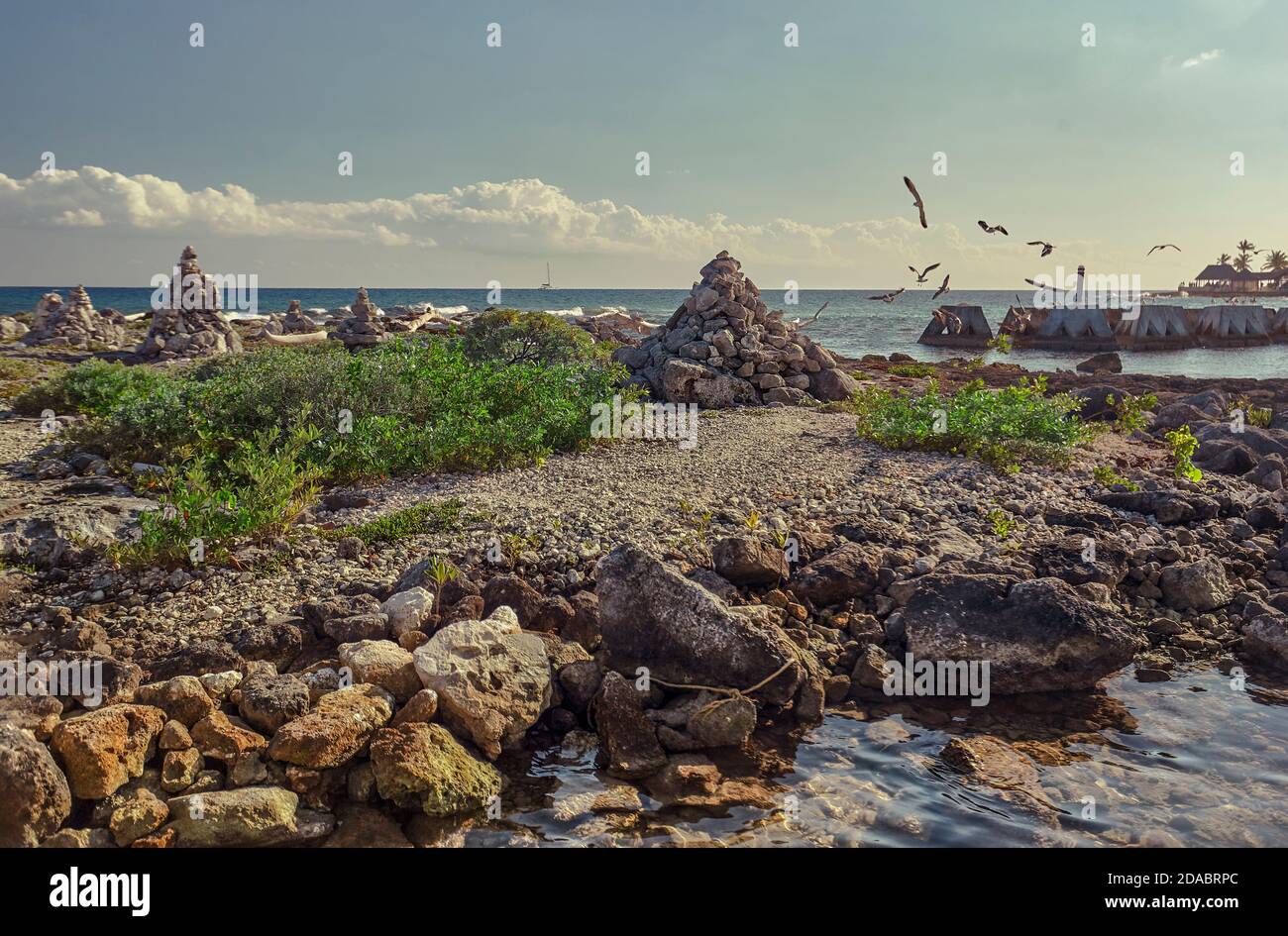 Particolare della vista della spiaggia di Puerto Aventuras in Messico con alcuni gabbiani che volano dal mare alla costa. Foto Stock
