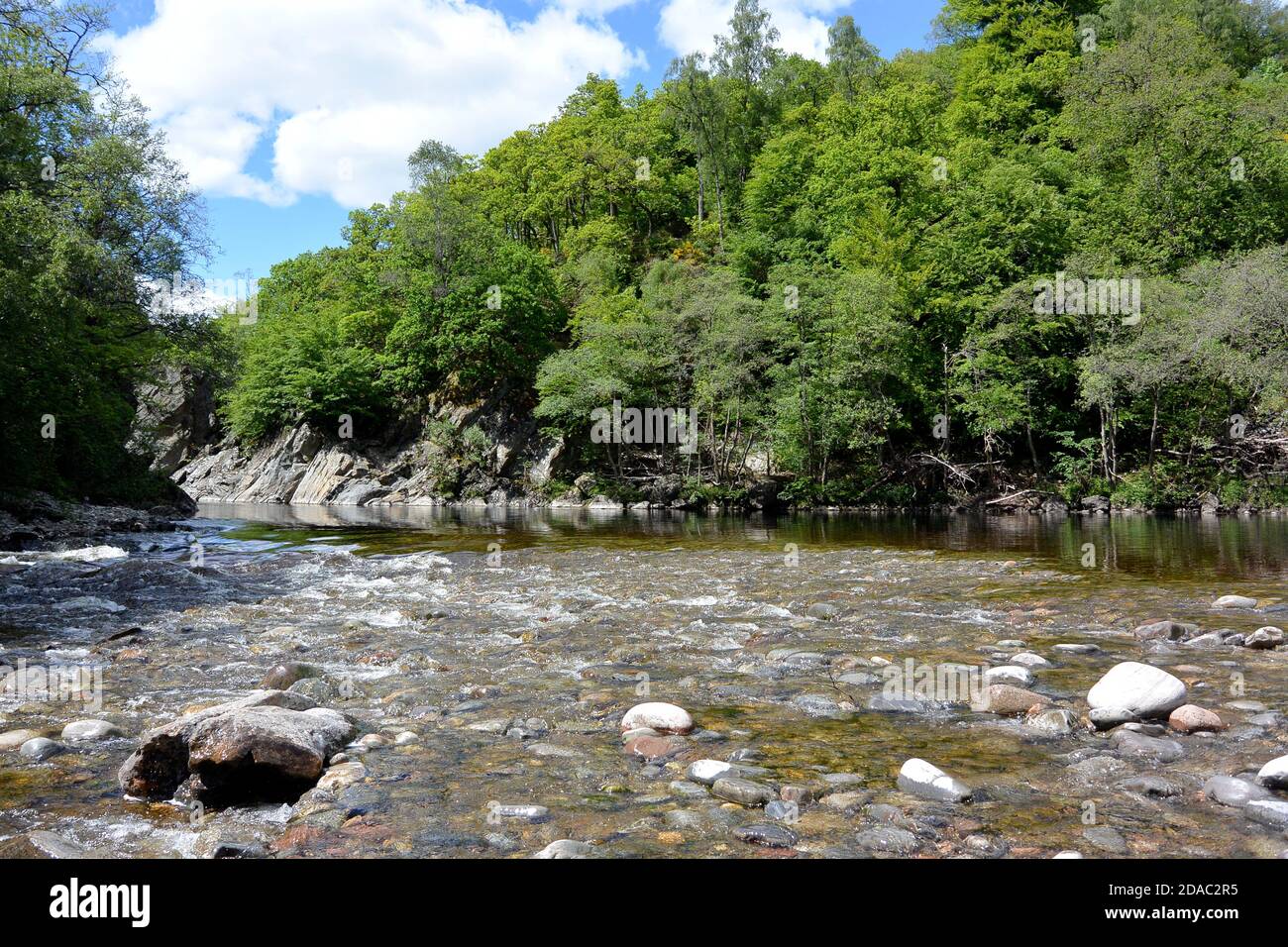 Fiume Garry a Killiecrankie che attraversa la foresta dominata dal faggio alberi Foto Stock
