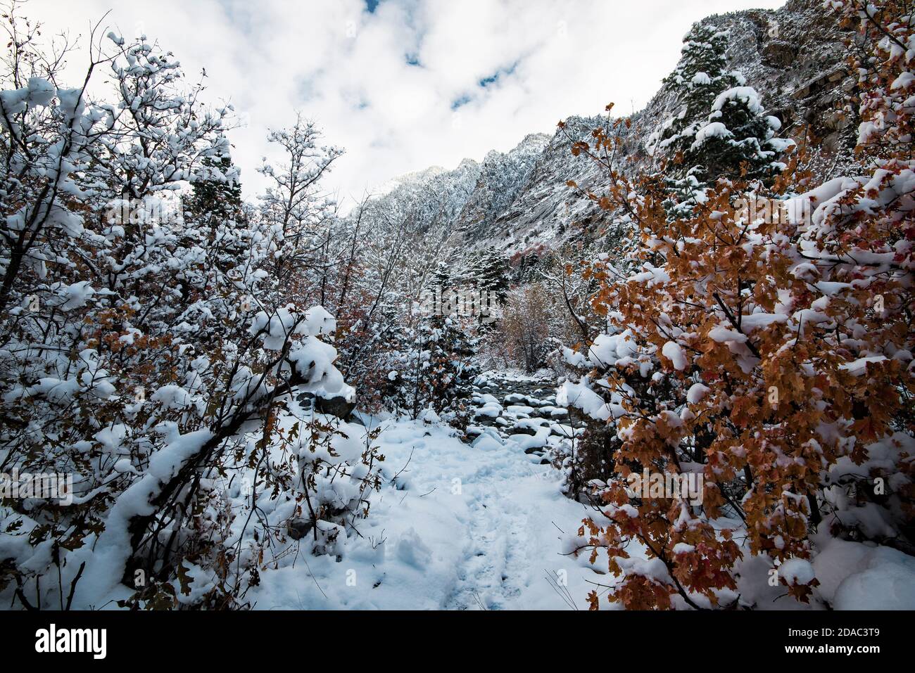 Percorsi escursionistici coperti di neve e colori tardo autunno. Non è raro che l'ultimo autunno e il primo inverno si scontrino in questa zona montagnosa. Foto Stock