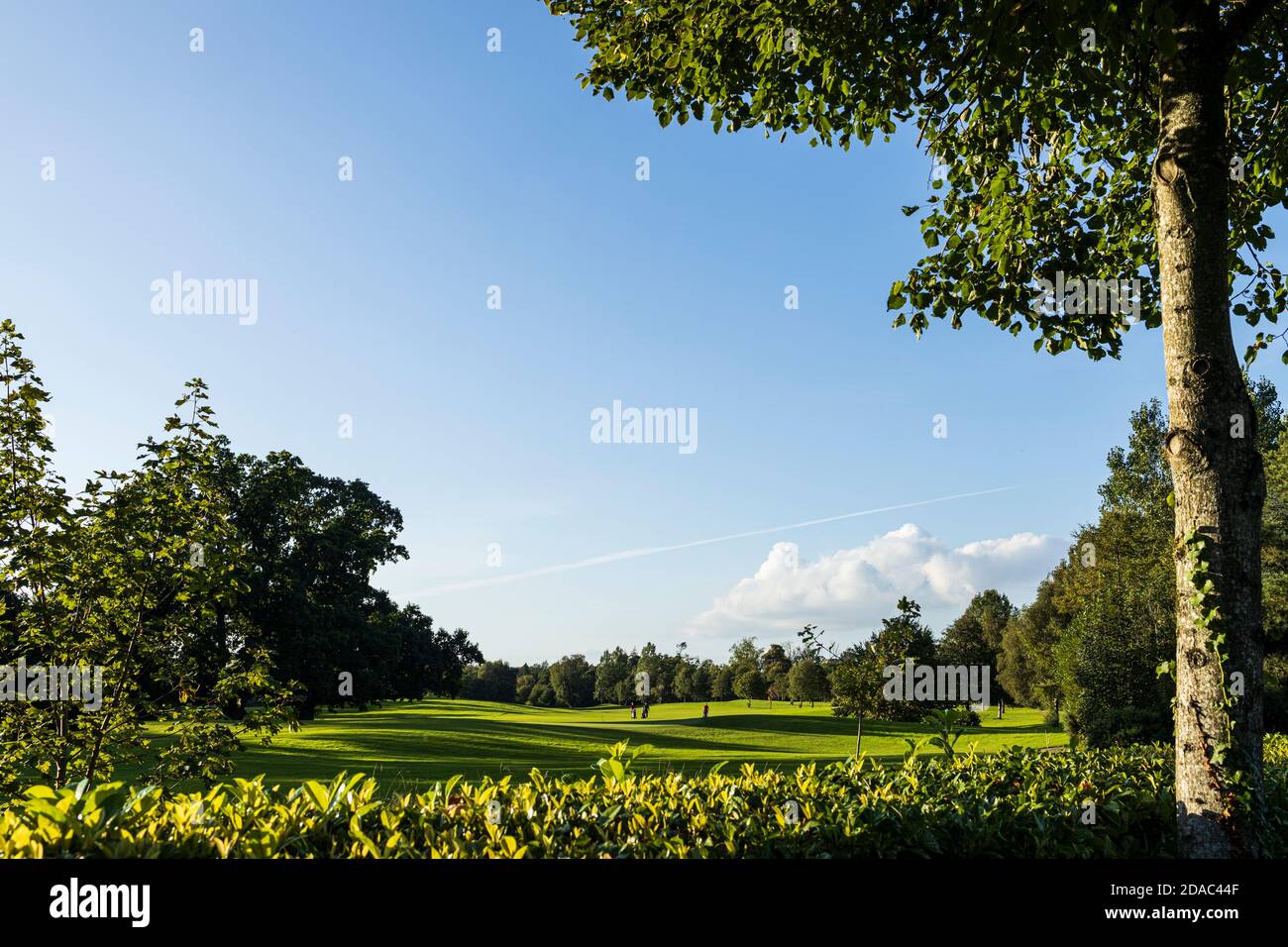 Fairways sul golf club presso la proprietà di Palmerstown House, Johnstown, County Kildare, Irlanda Foto Stock