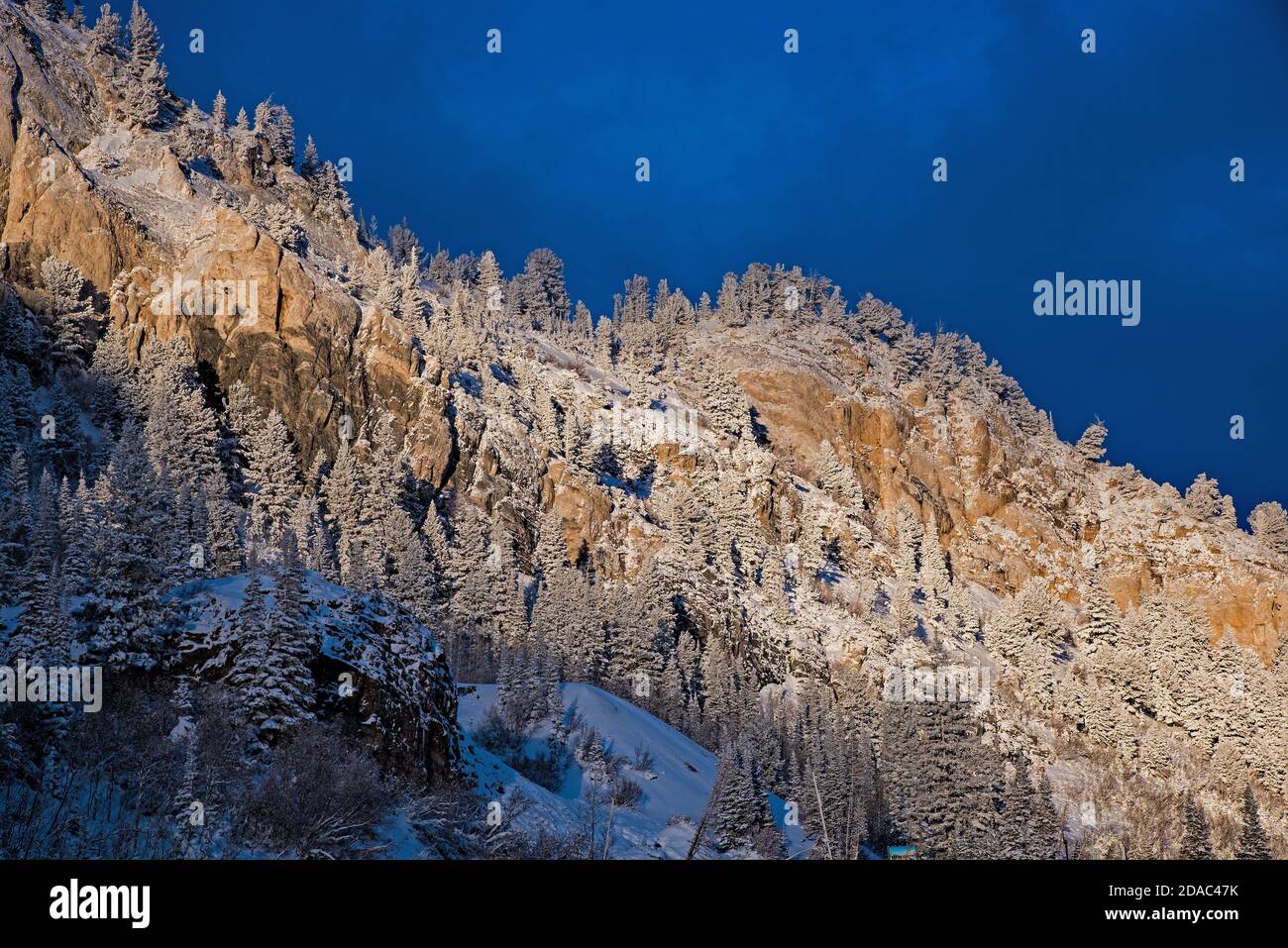 L'aspra skyline di montagna del Little Cottonwood Canyon vicino a Salt Lake City, Utah, USA. Foto Stock