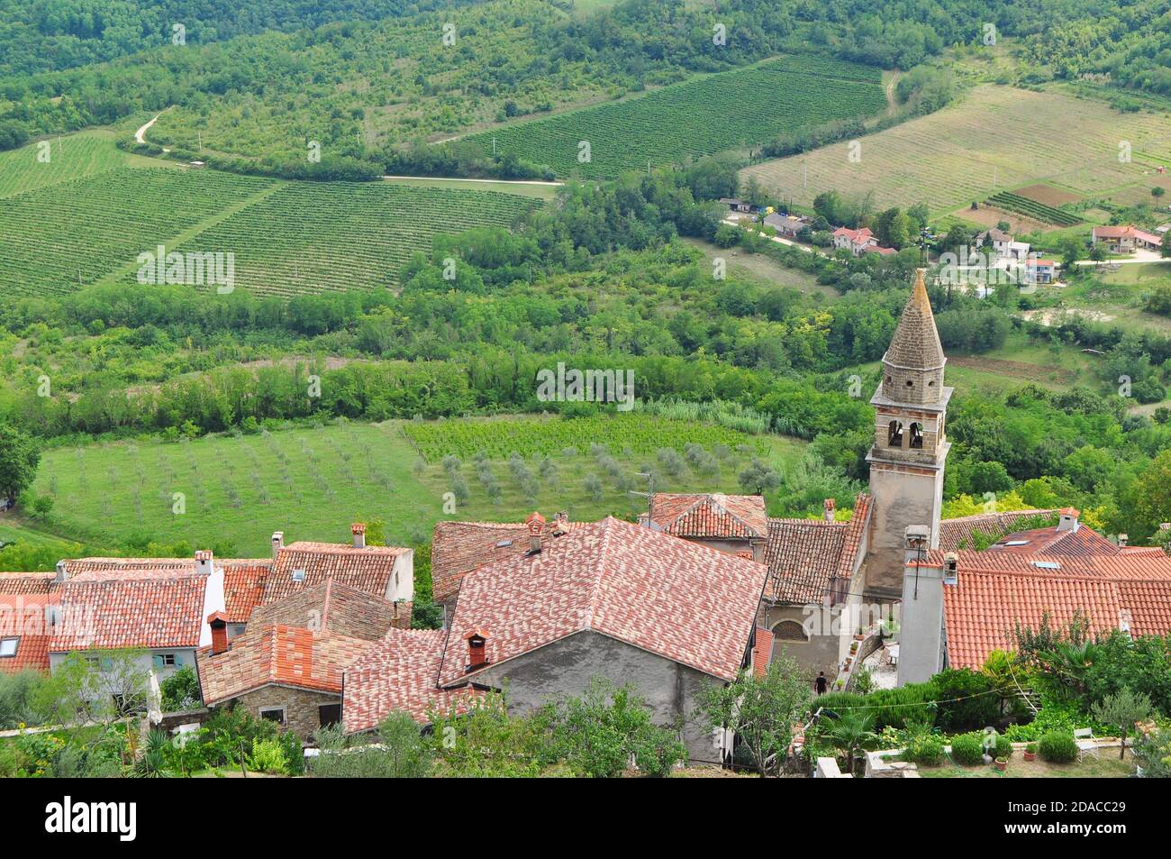 Paesaggio sui tetti della città di Motovun, Istria, Croazia Foto Stock