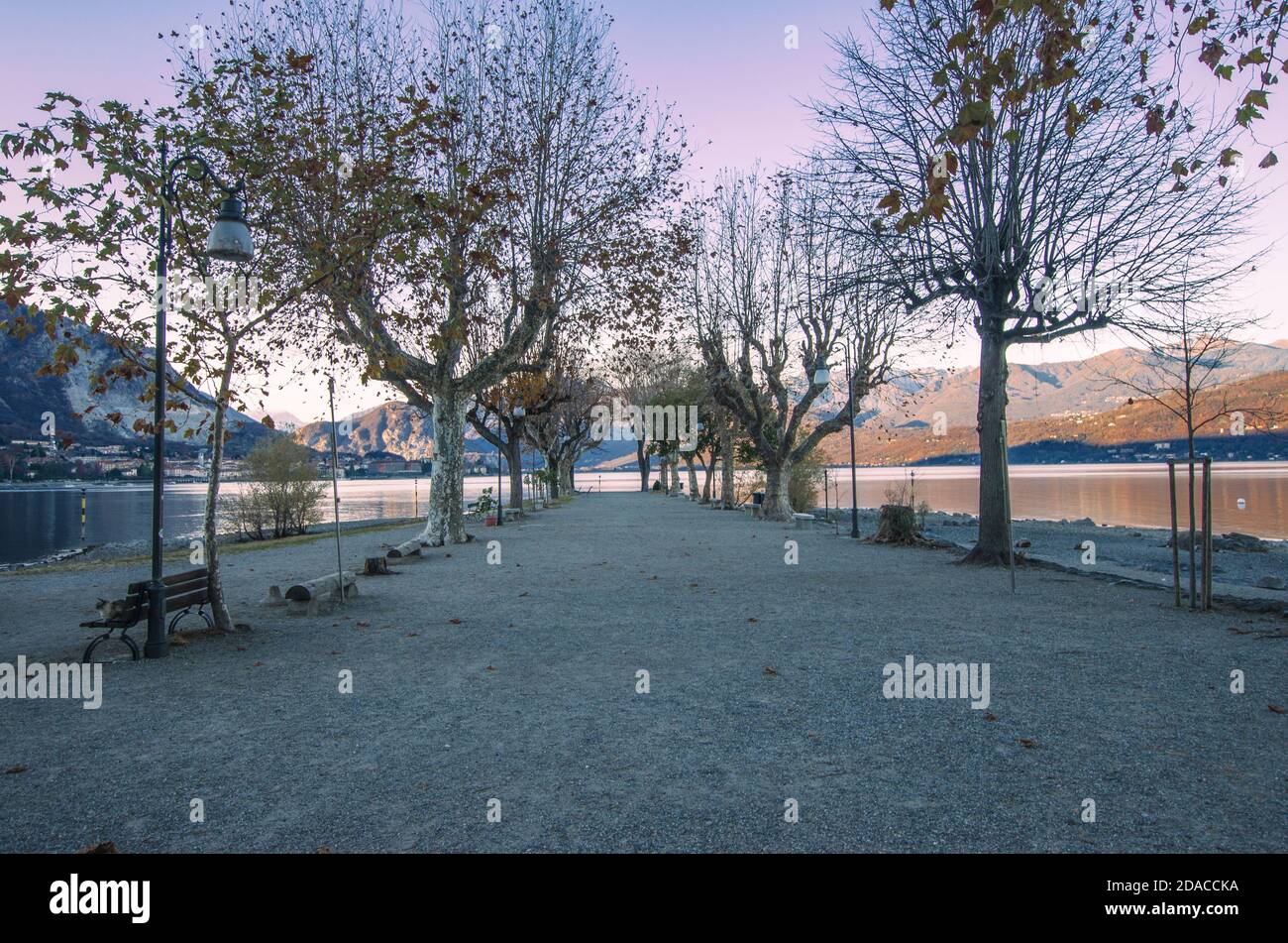 Viale alberato che porta al lago dell'isola di pescatori.Isola Borromea con montagne sullo sfondo, destinazione di viaggio in Italia. Stresa, pied Foto Stock