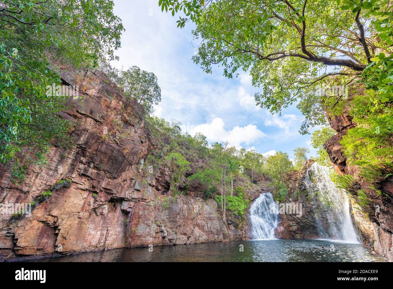 Titolo: Le buche da nuoto alle Cascate di Firenze sono tra le attrazioni turistiche più visitate del Parco Nazionale di Litchfield nel Territo settentrionale dell'Australia Foto Stock