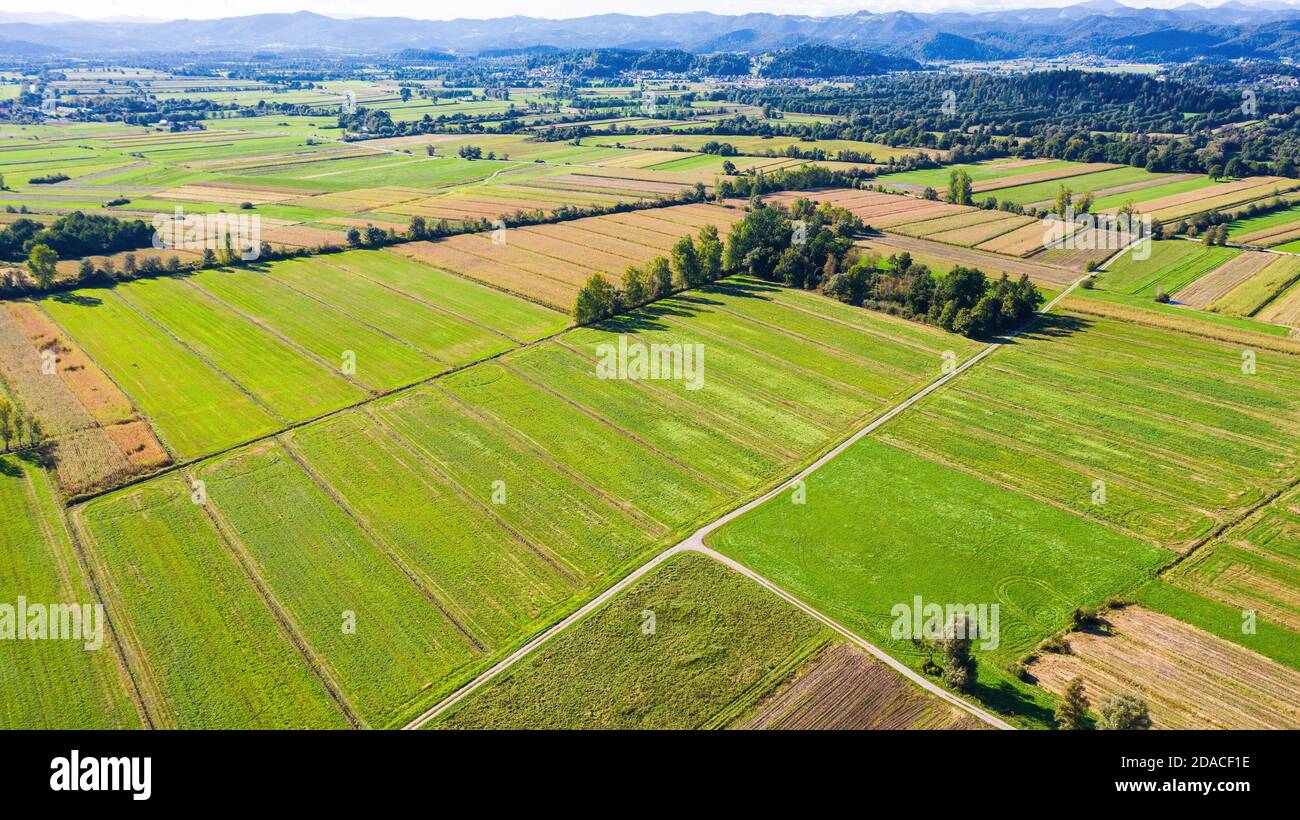 Vista aerea dei campi agricoli dal cielo. Foto Stock