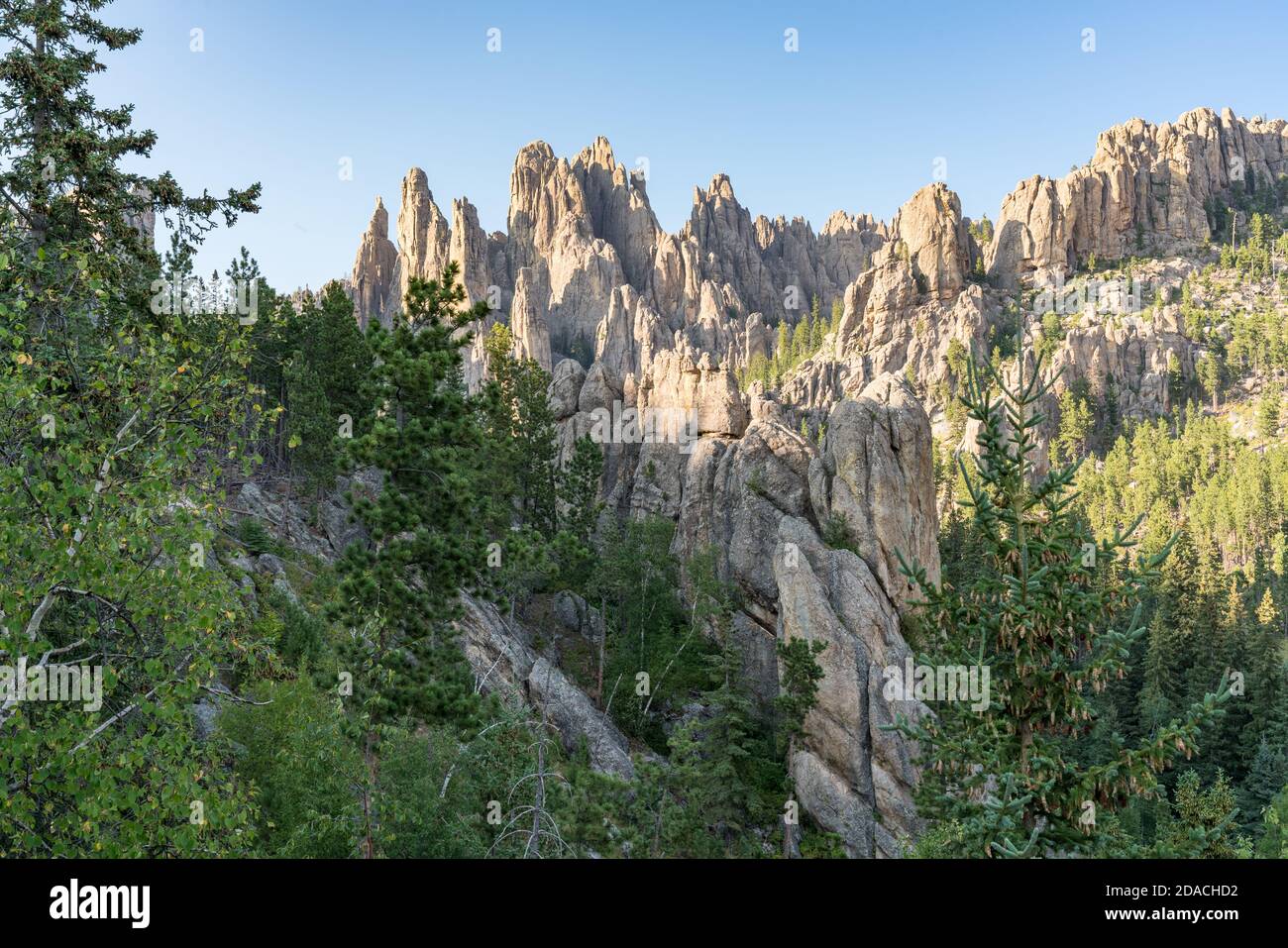 Aghi formazioni di pietra nelle Black Hills del South Dakota Foto Stock