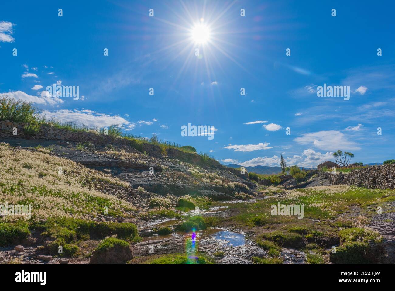 Regione di Maragua, departimento Sucre, Cordillera Centrale, Ande, Bolivia, America Latina Foto Stock