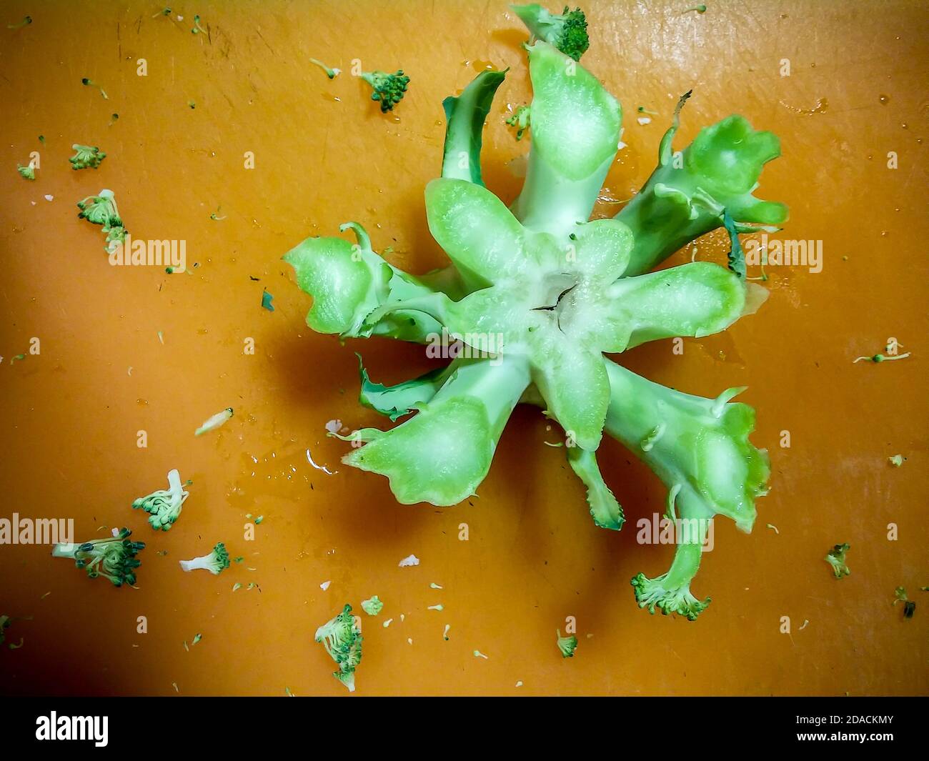 La fine di una corona di broccoli tagliata a New York venerdì 16 ottobre 2020. (© Richard B. Levine Foto Stock
