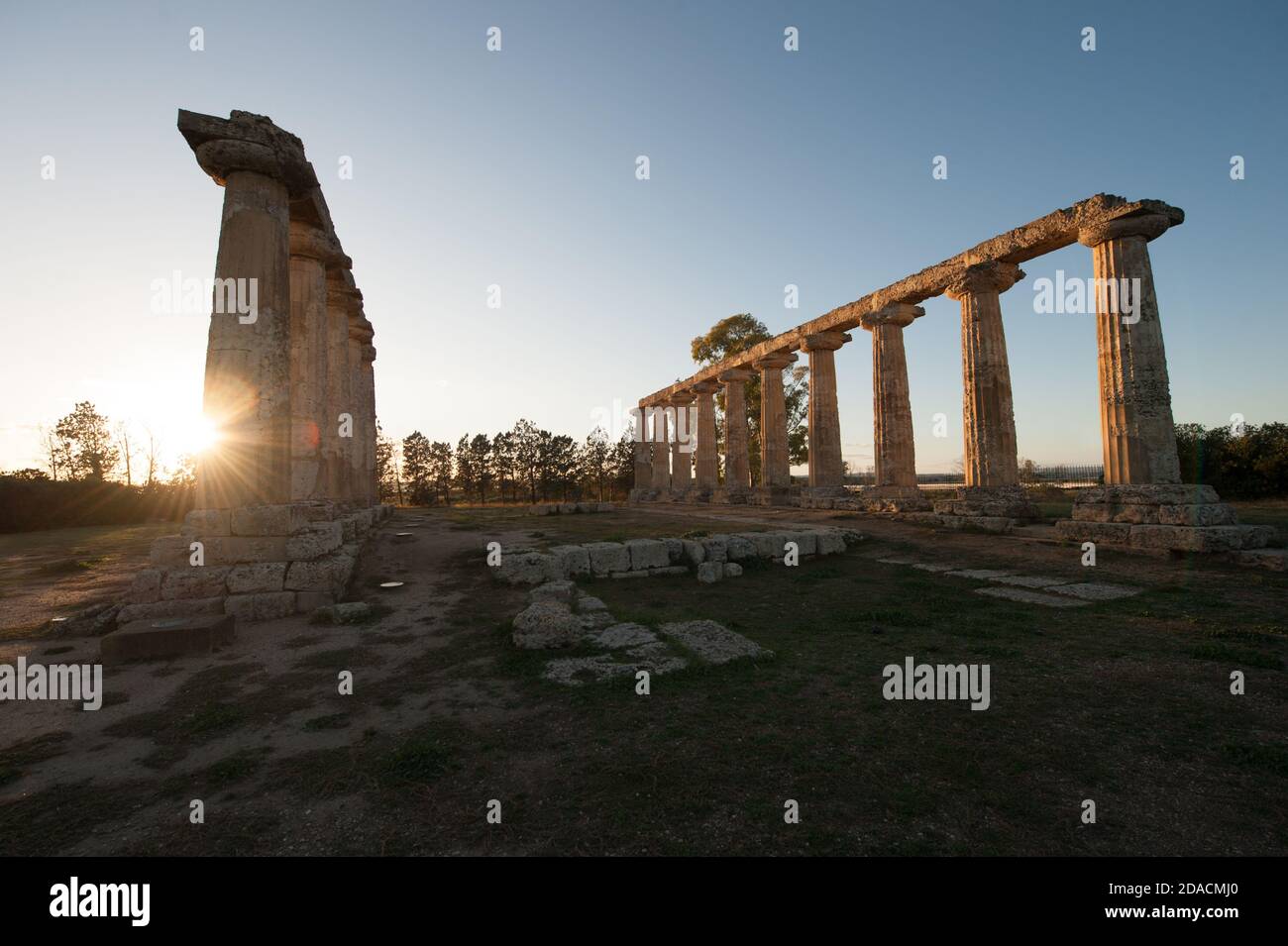 Le tavole Palatine sono i resti di un tempio peripterale dell'esastilio greco del VI secolo a.C., dedicato alla dea Hera. Foto Stock