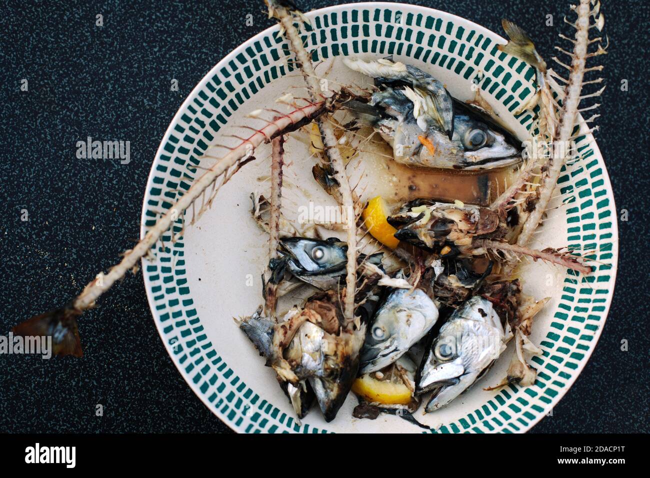 Sgombri le teste e le ossa di pesce in una ciotola Foto Stock