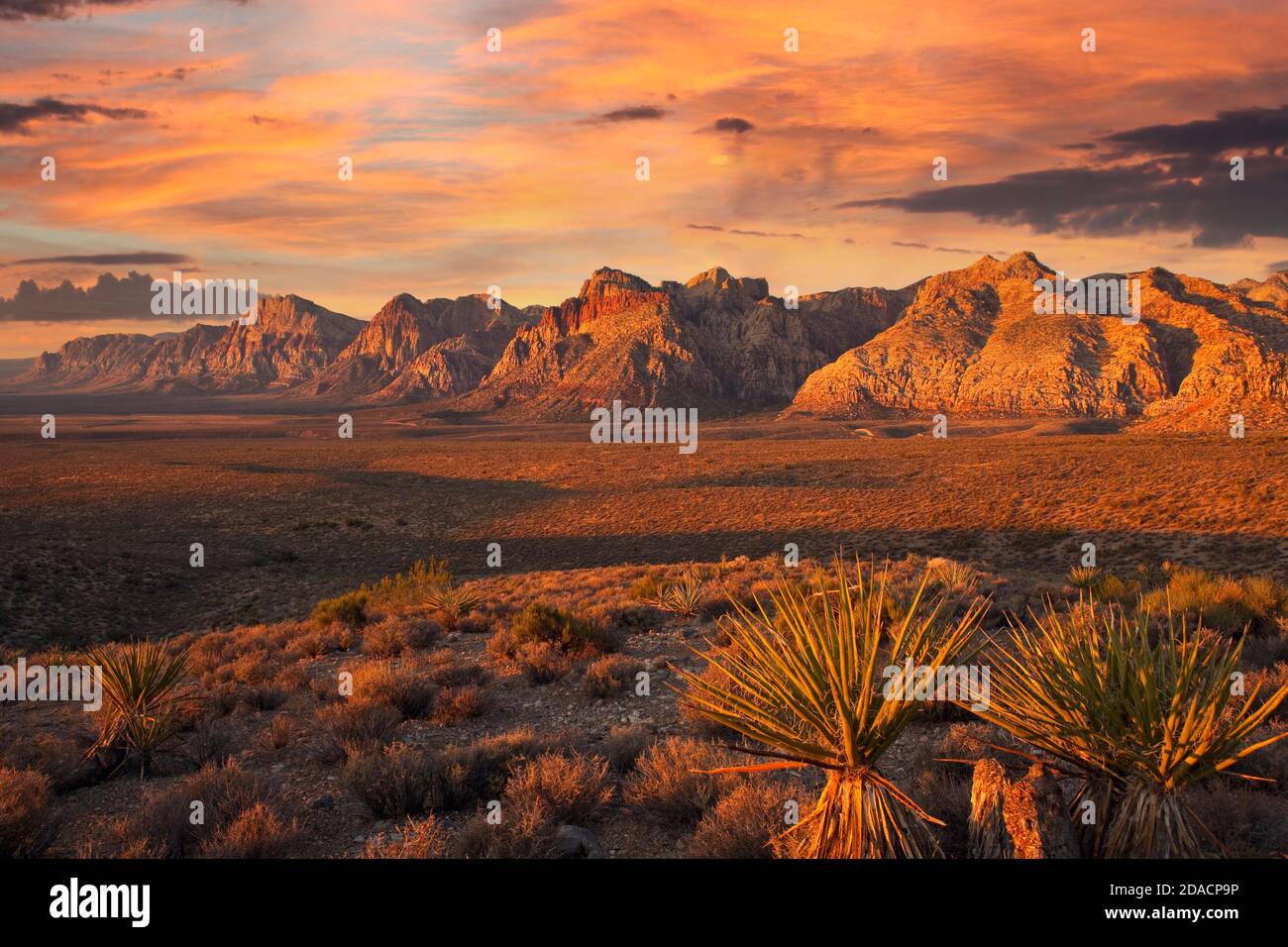 I primi raggi di luce arancione all'alba sulle scogliere della Red Rock Canyon National Conservation Area vicino a Las Vegas Nevada. Foto Stock