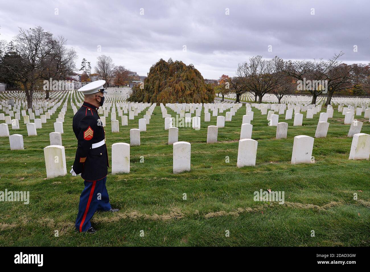 New York City, Stati Uniti. 11 Nov 2020. L'ex Marine degli Stati Uniti Albert Grajales cammina oltre le pietre di testa dei soldati caduti al Cimitero Nazionale di Cypress Hills nel quartiere di Brooklyn a New York, NY, il 11 novembre 2020. Il sig. Grajales, che ha servito anche nell'esercito e nelle riserve dell'aeronautica, compie un pellegrinaggio annuale al cimitero nazionale di Cypress Hills il giorno dei Veterani in memoria di coloro che sono andati perduti in combattimento. (Anthony Behar/Sipa USA) Credit: Sipa USA/Alamy Live News Foto Stock